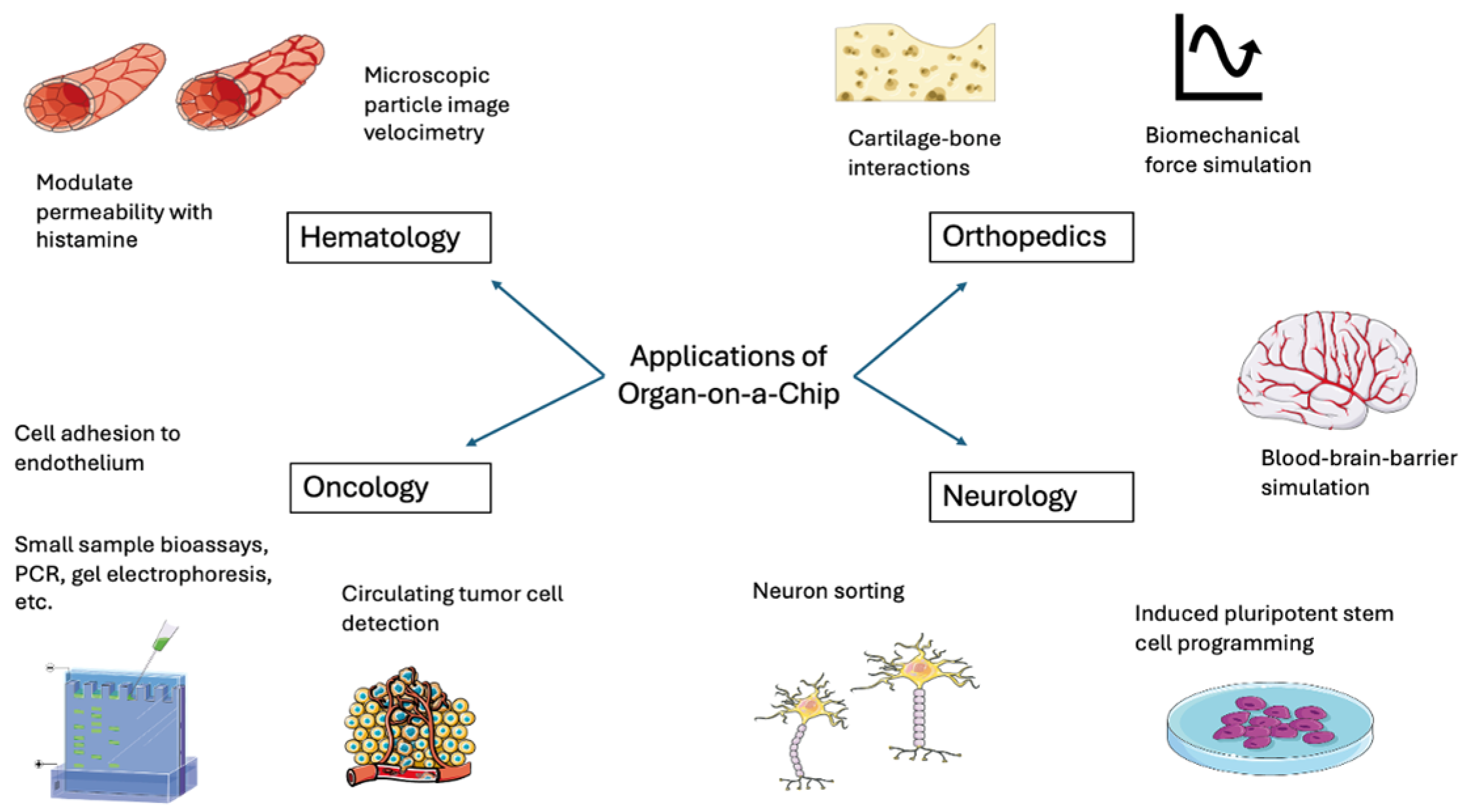 Bioengineering 13 00009 g002