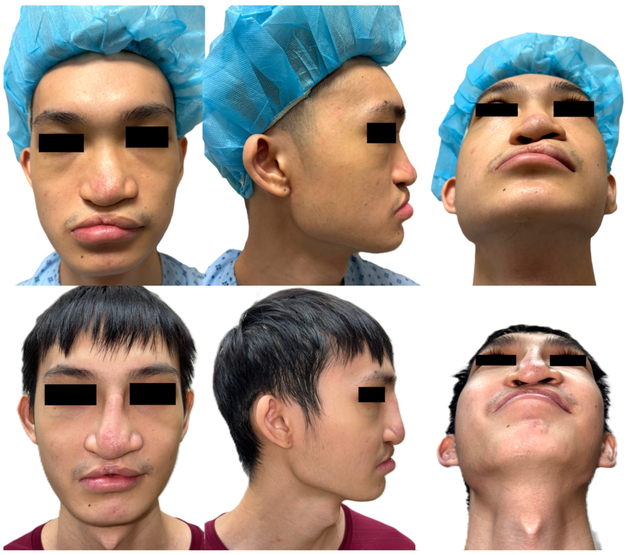 Bioengineering 13 00010 g001