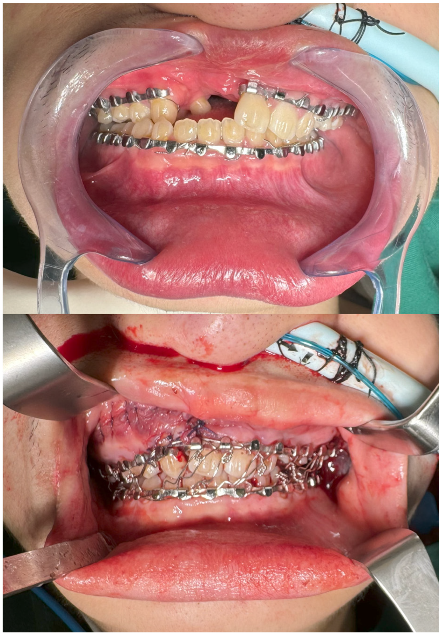 Bioengineering 13 00010 g002