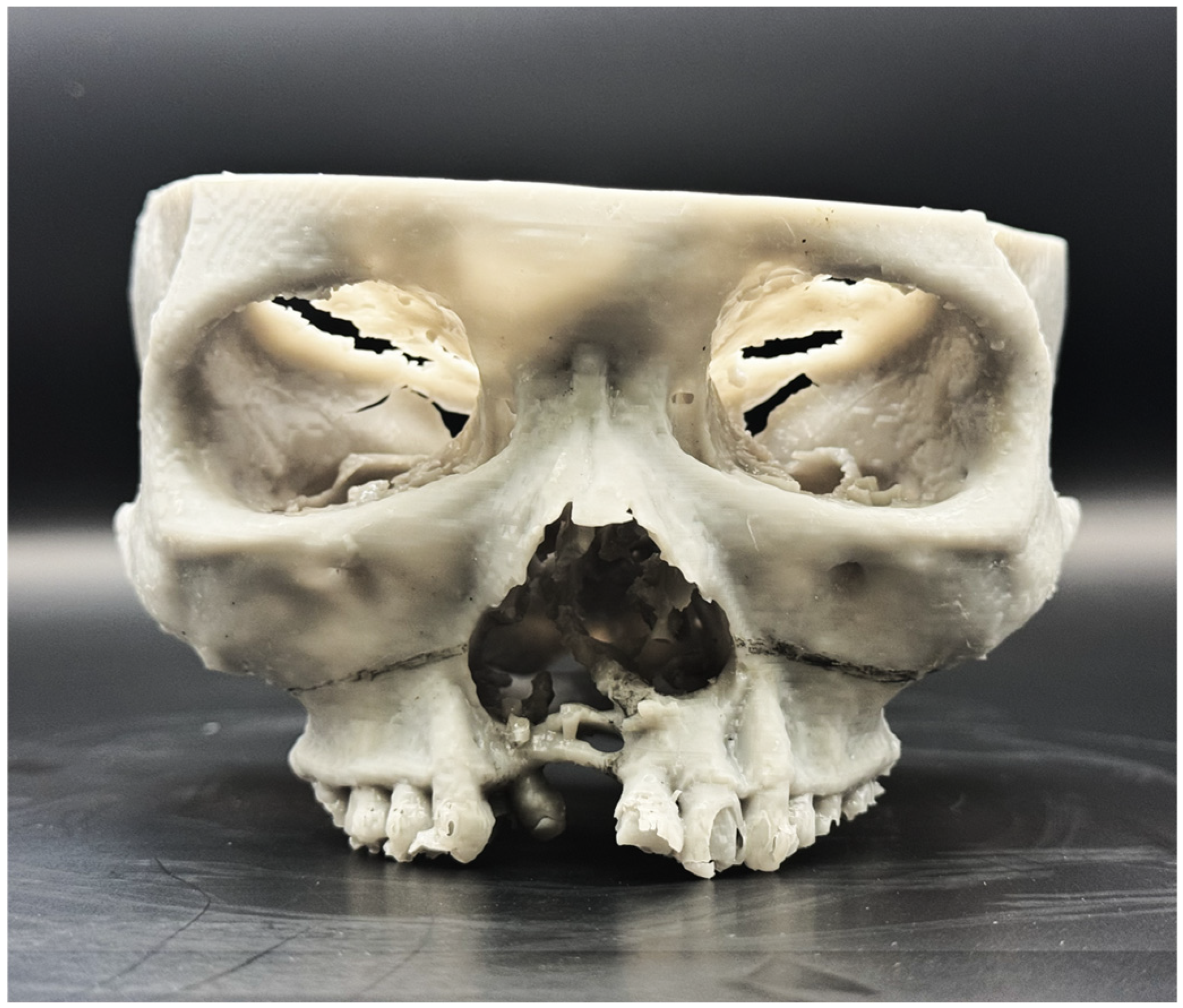 Bioengineering 13 00010 g005