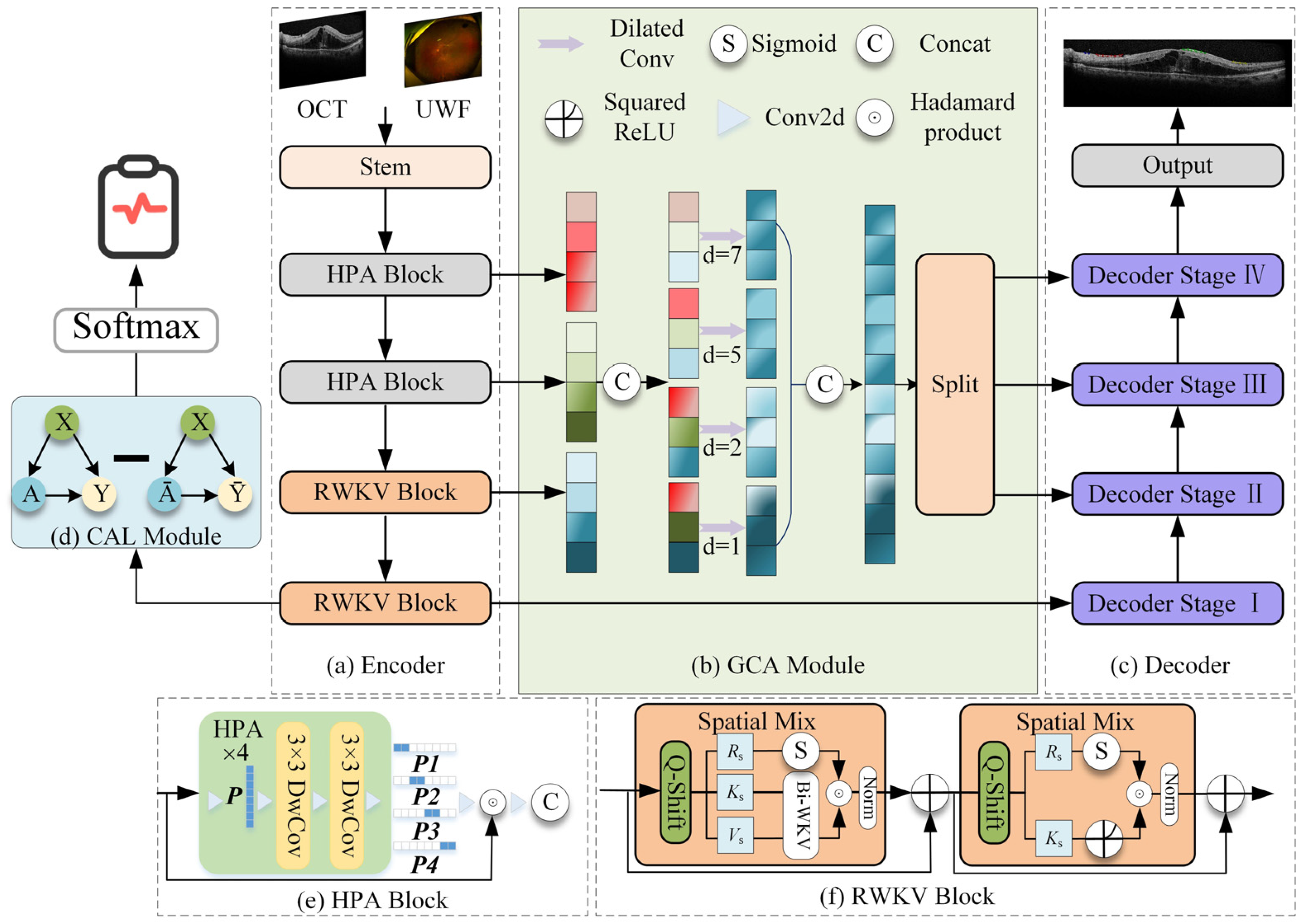 Bioengineering 13 00012 g001