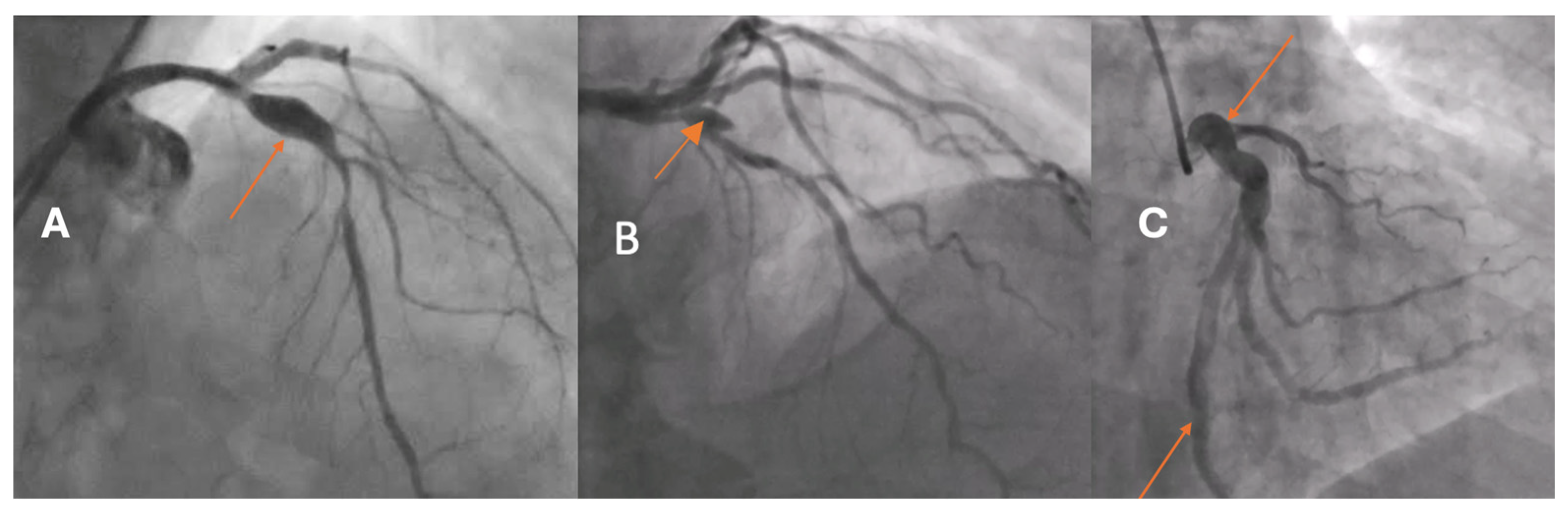 Bioengineering 13 00014 g001