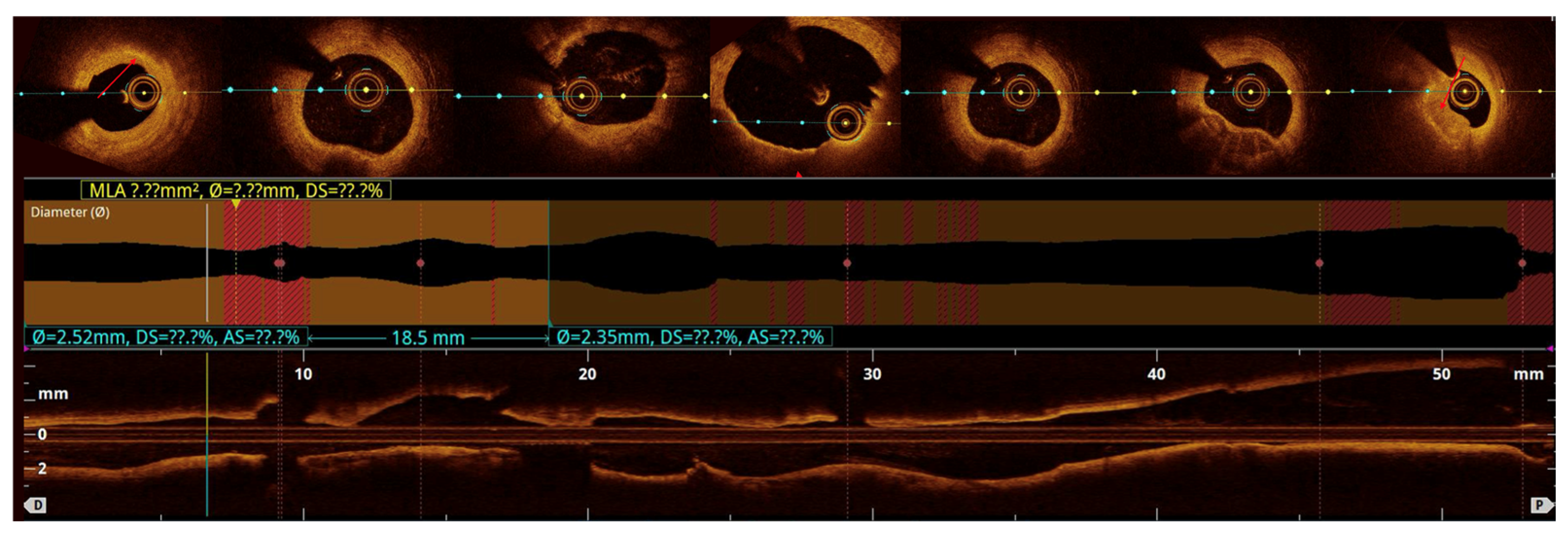 Bioengineering 13 00014 g002