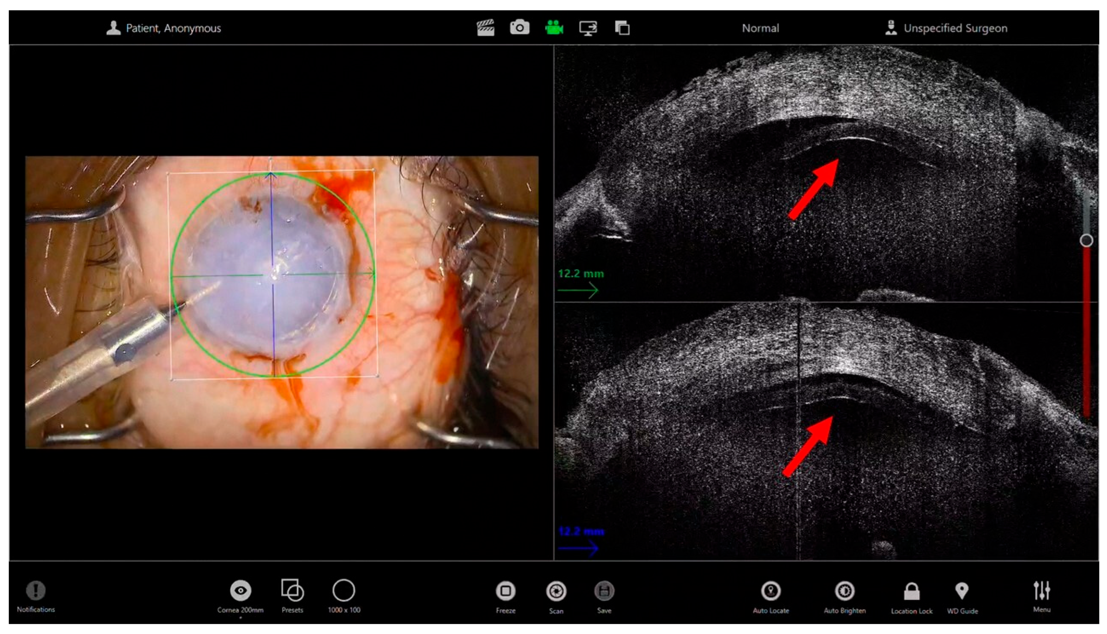 Bioengineering 13 00015 g001