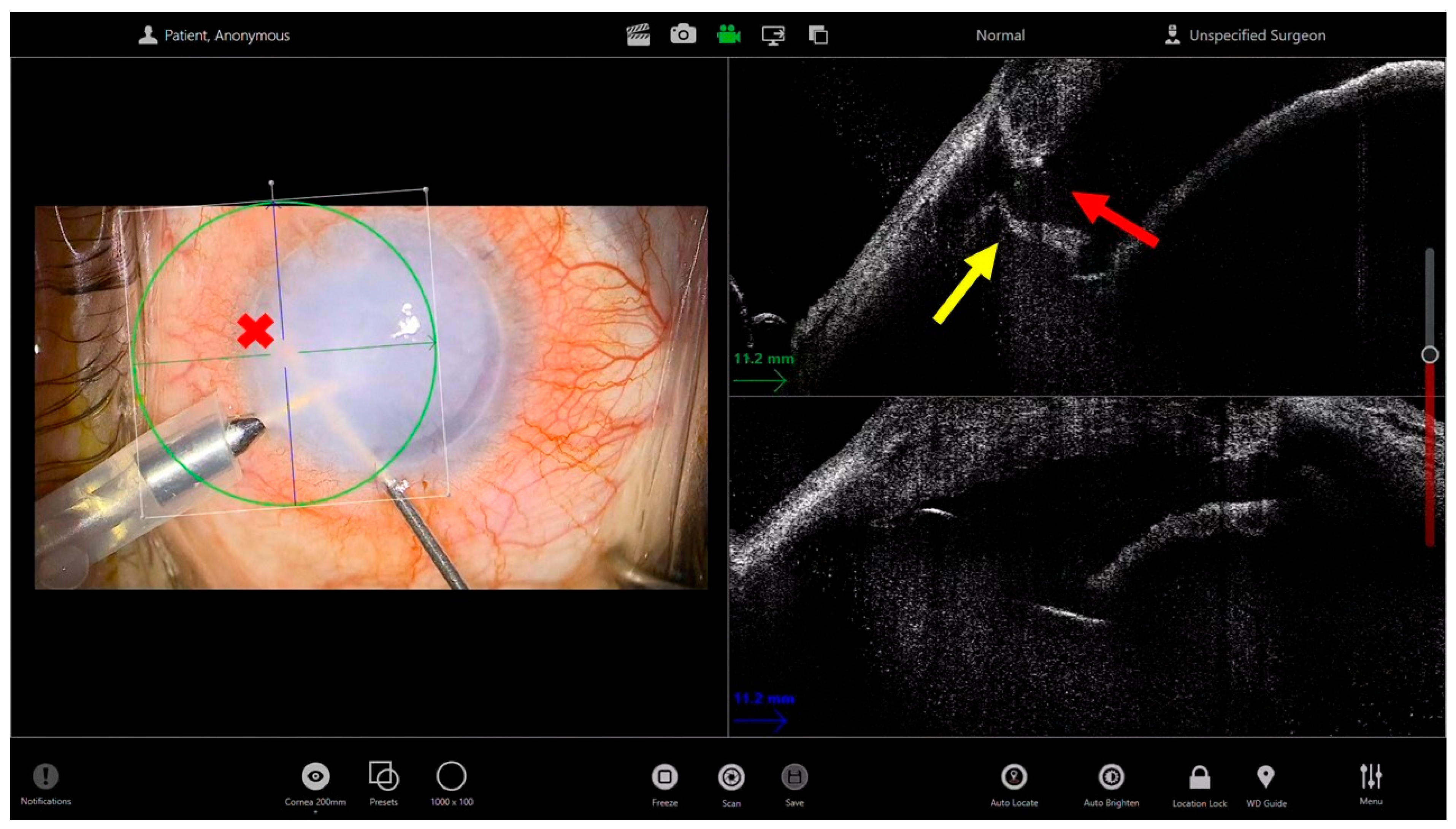 Bioengineering 13 00015 g002