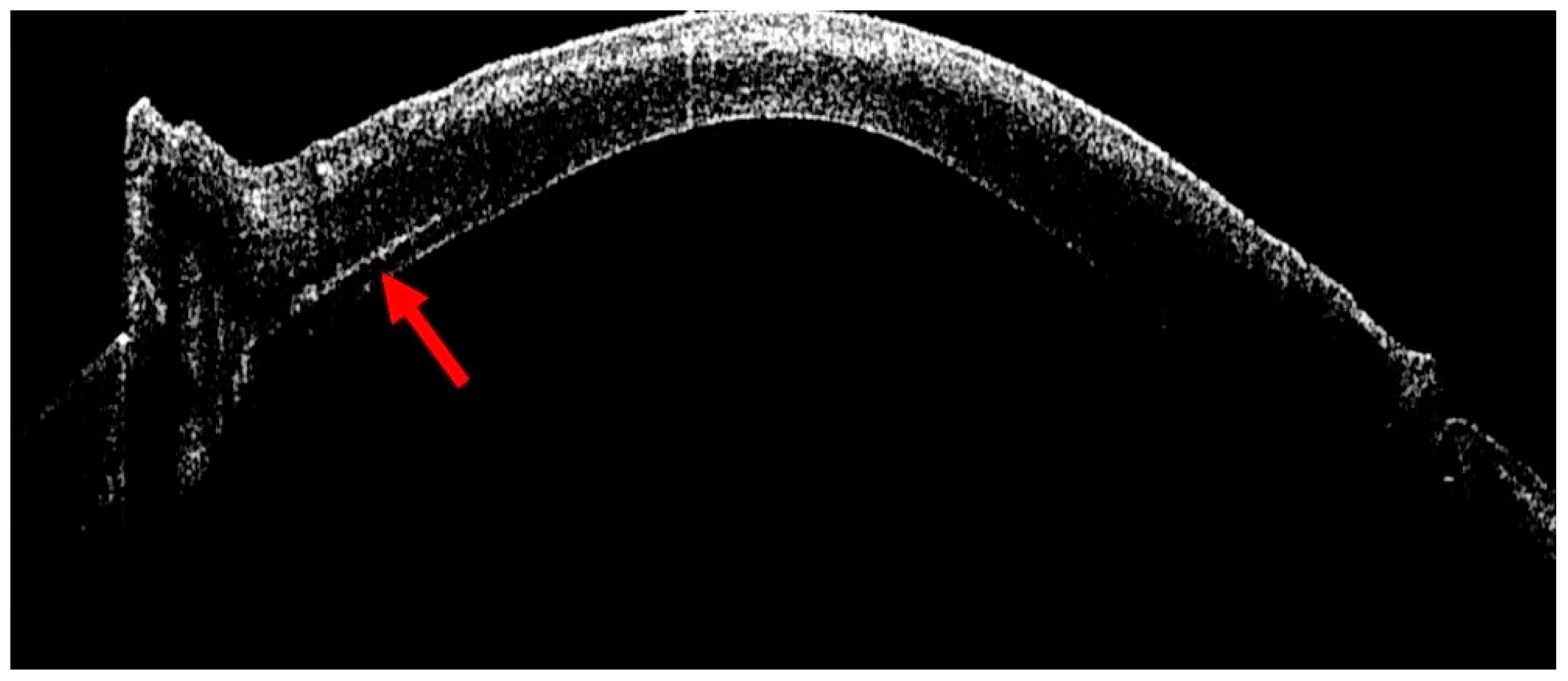 Bioengineering 13 00015 g003