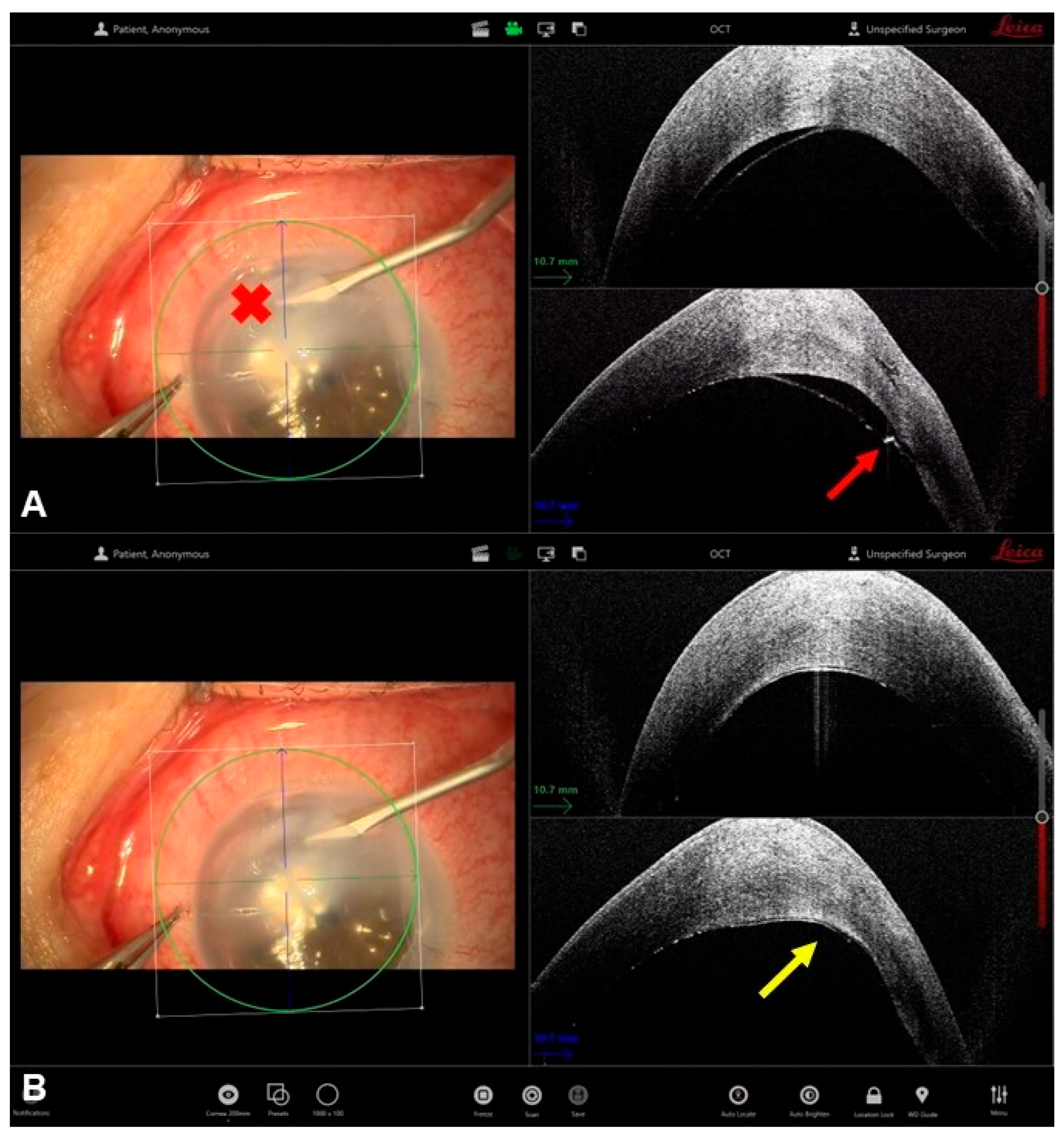 Bioengineering 13 00015 g004