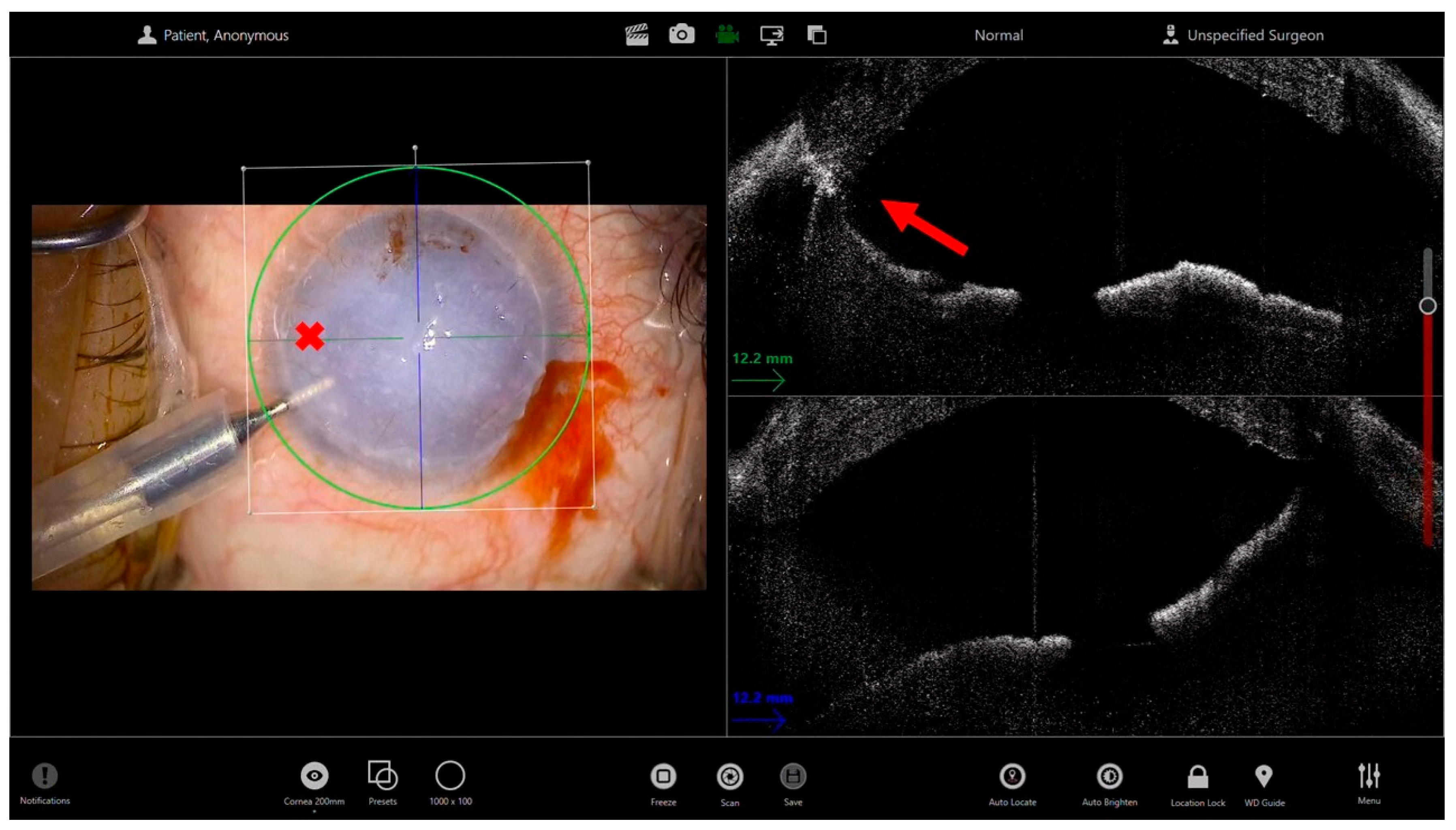 Bioengineering 13 00015 g005
