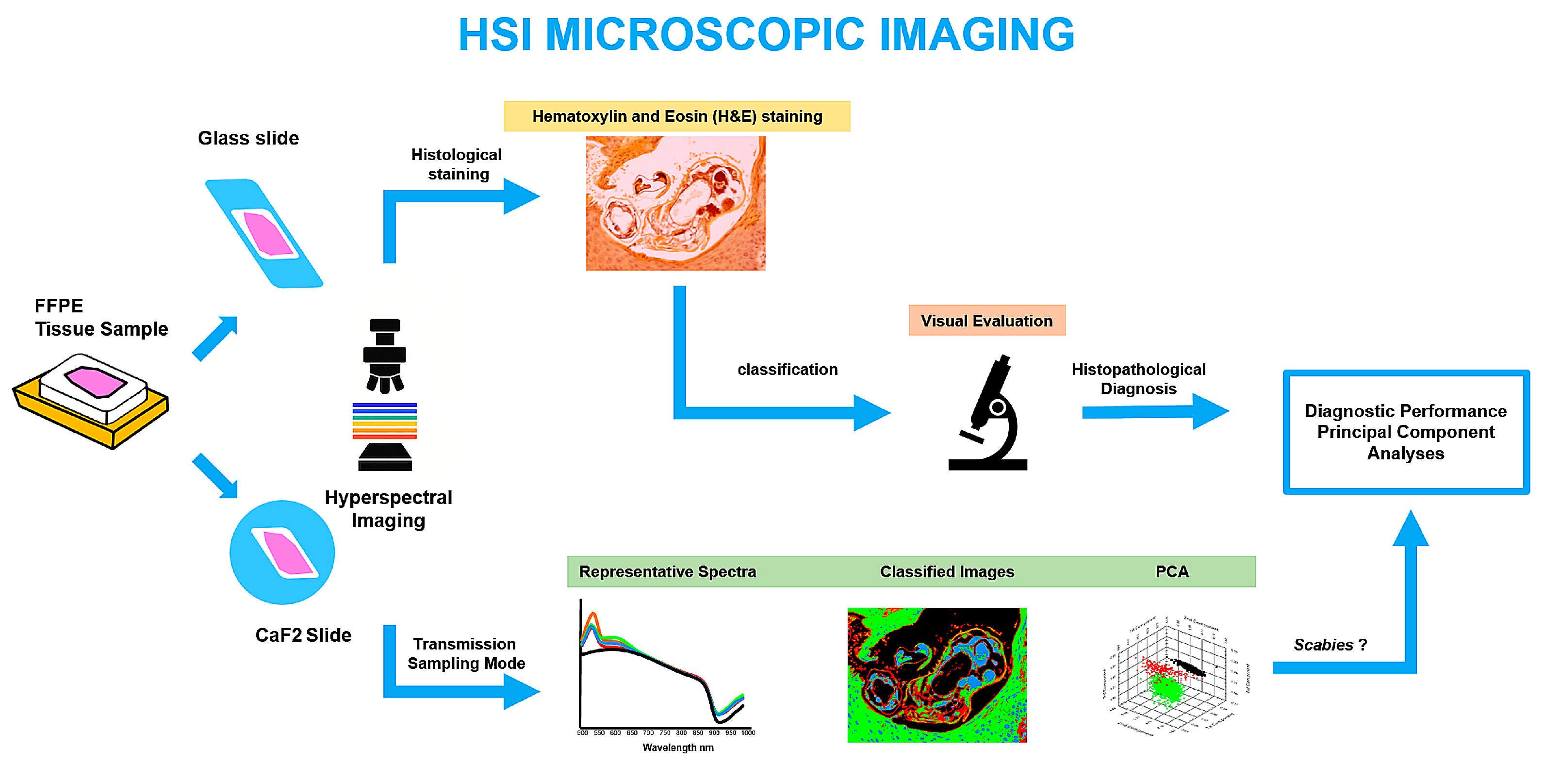 Bioengineering 13 00016 g002