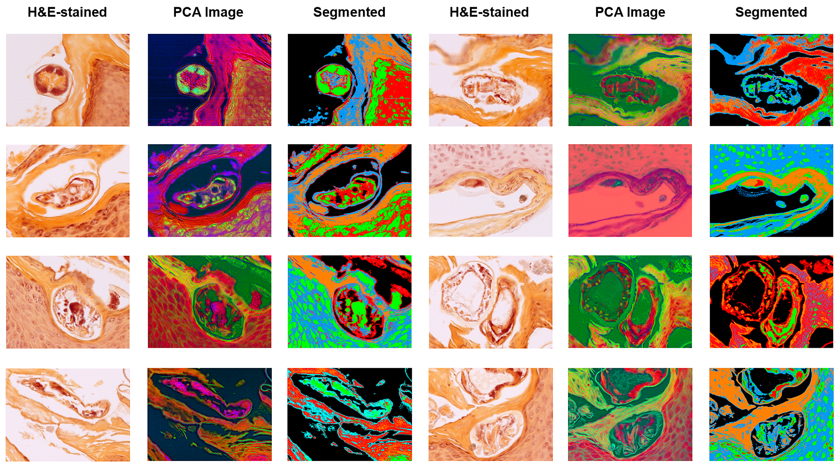 Bioengineering 13 00016 g008