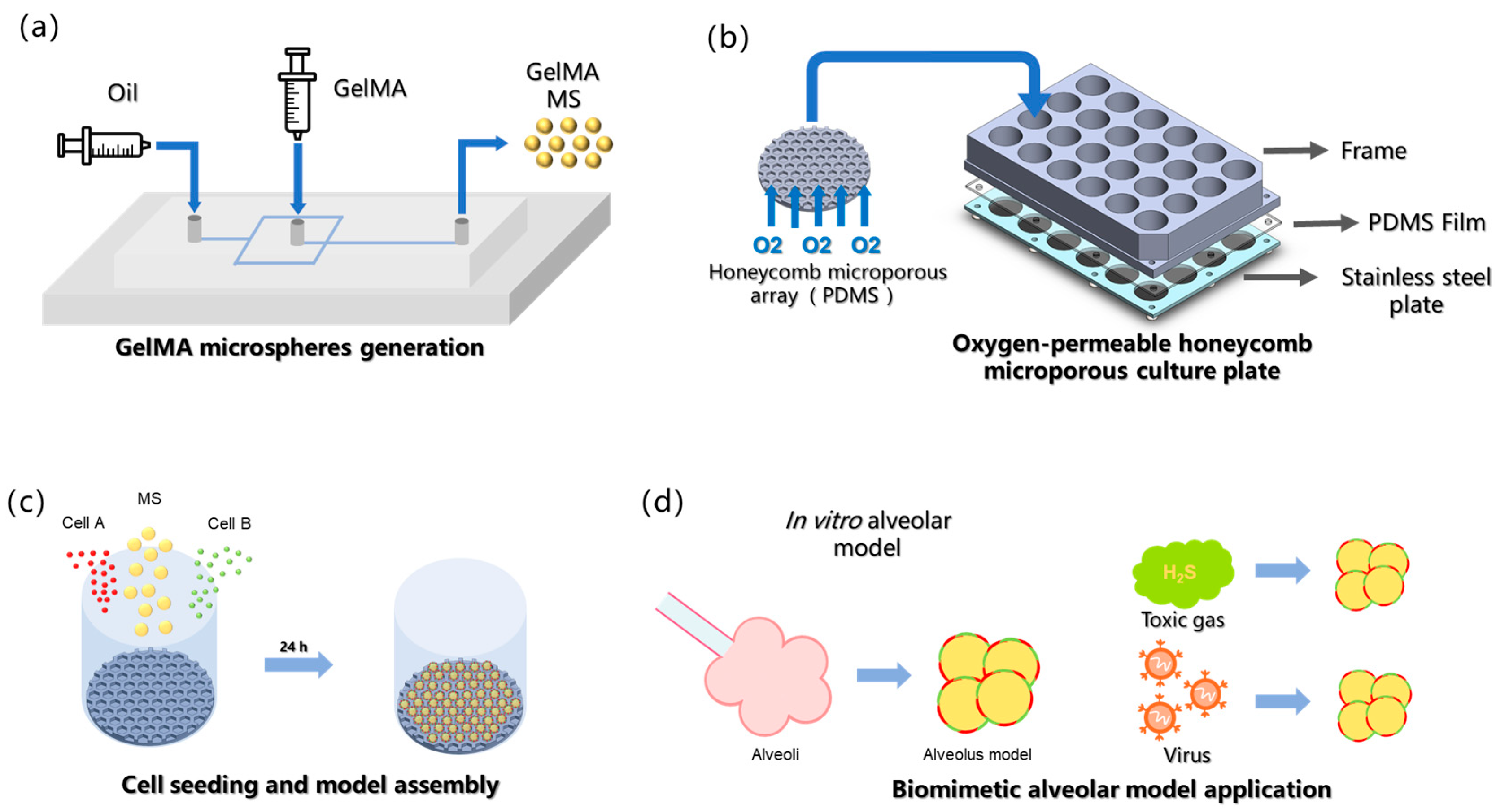 Bioengineering 13 00017 g001