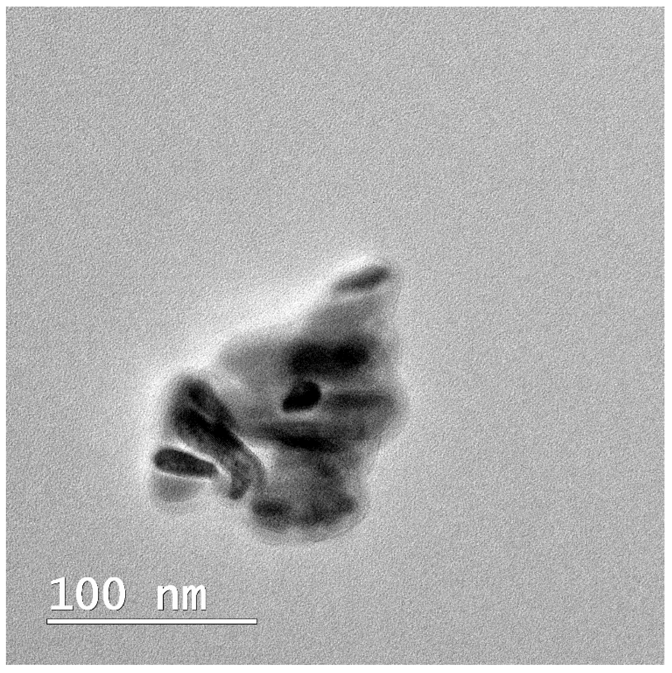 Bioengineering 13 00023 g001