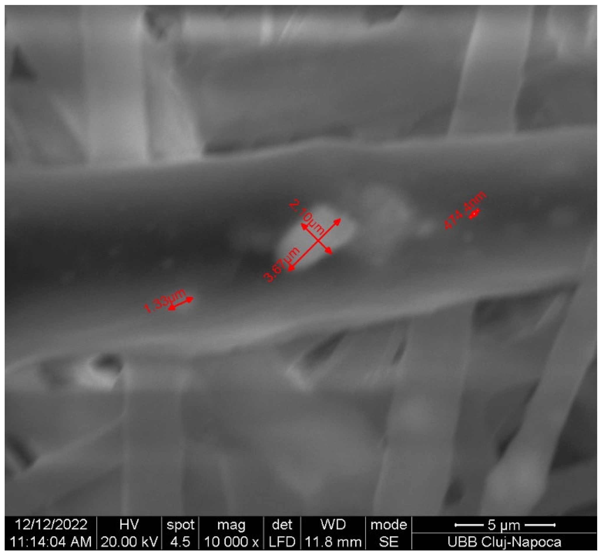 Bioengineering 13 00023 g002