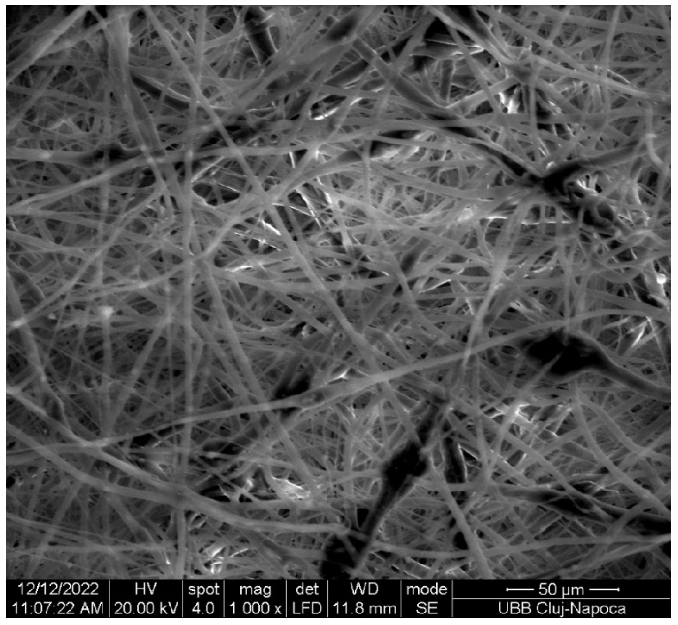 Bioengineering 13 00023 g005