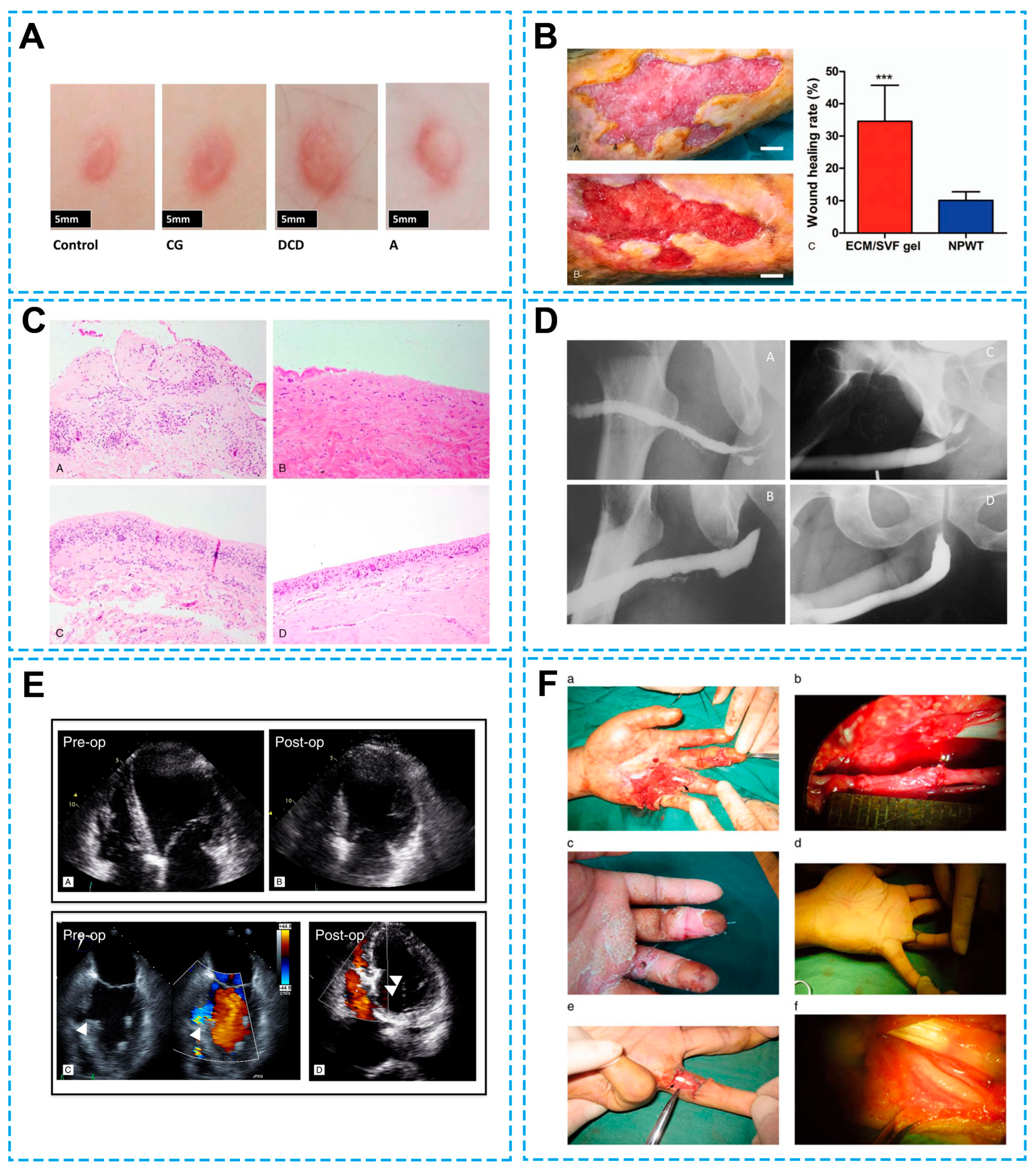 Bioengineering 13 00024 g001