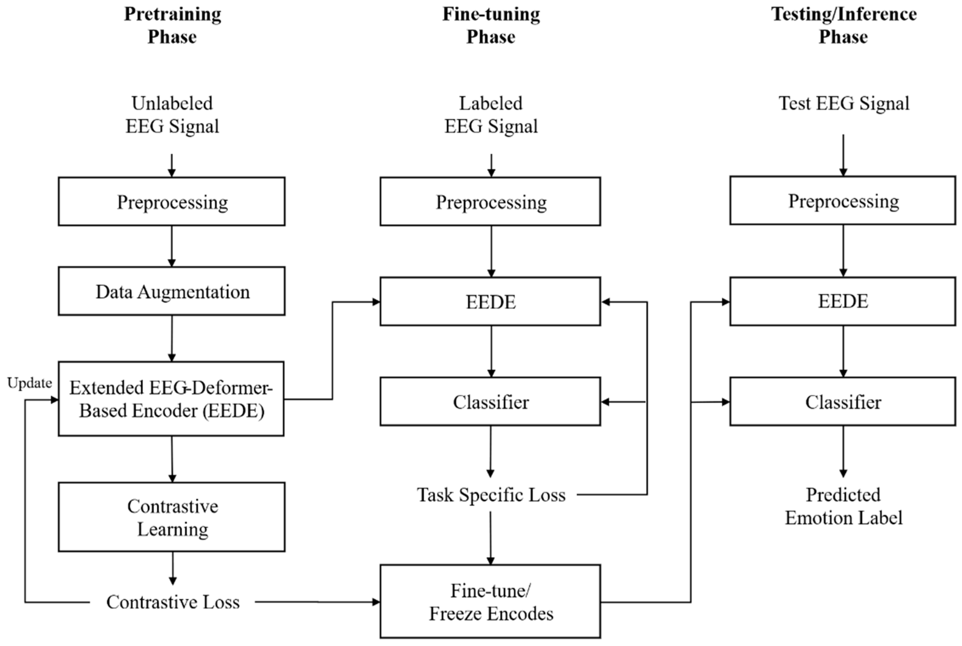 Bioengineering 13 00029 g001
