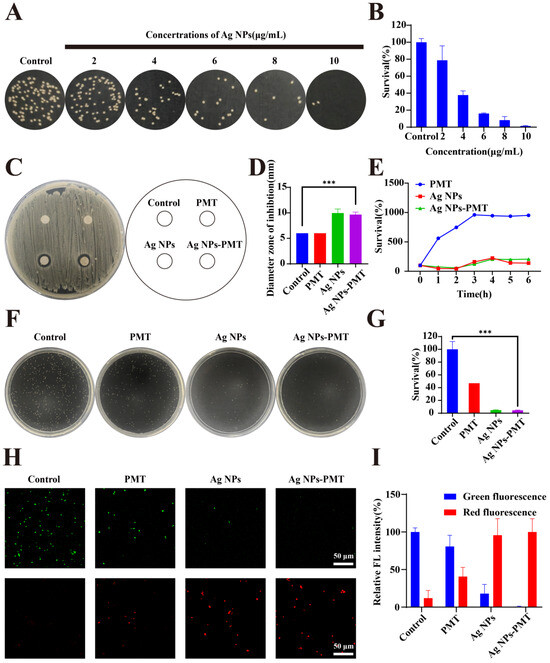 Bioengineered Premna Microphylla-Silver Nanoparticle Hydrogel for