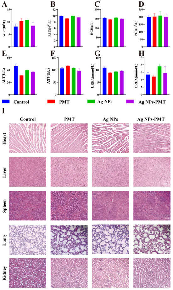 Bioengineered Premna Microphylla-Silver Nanoparticle Hydrogel for