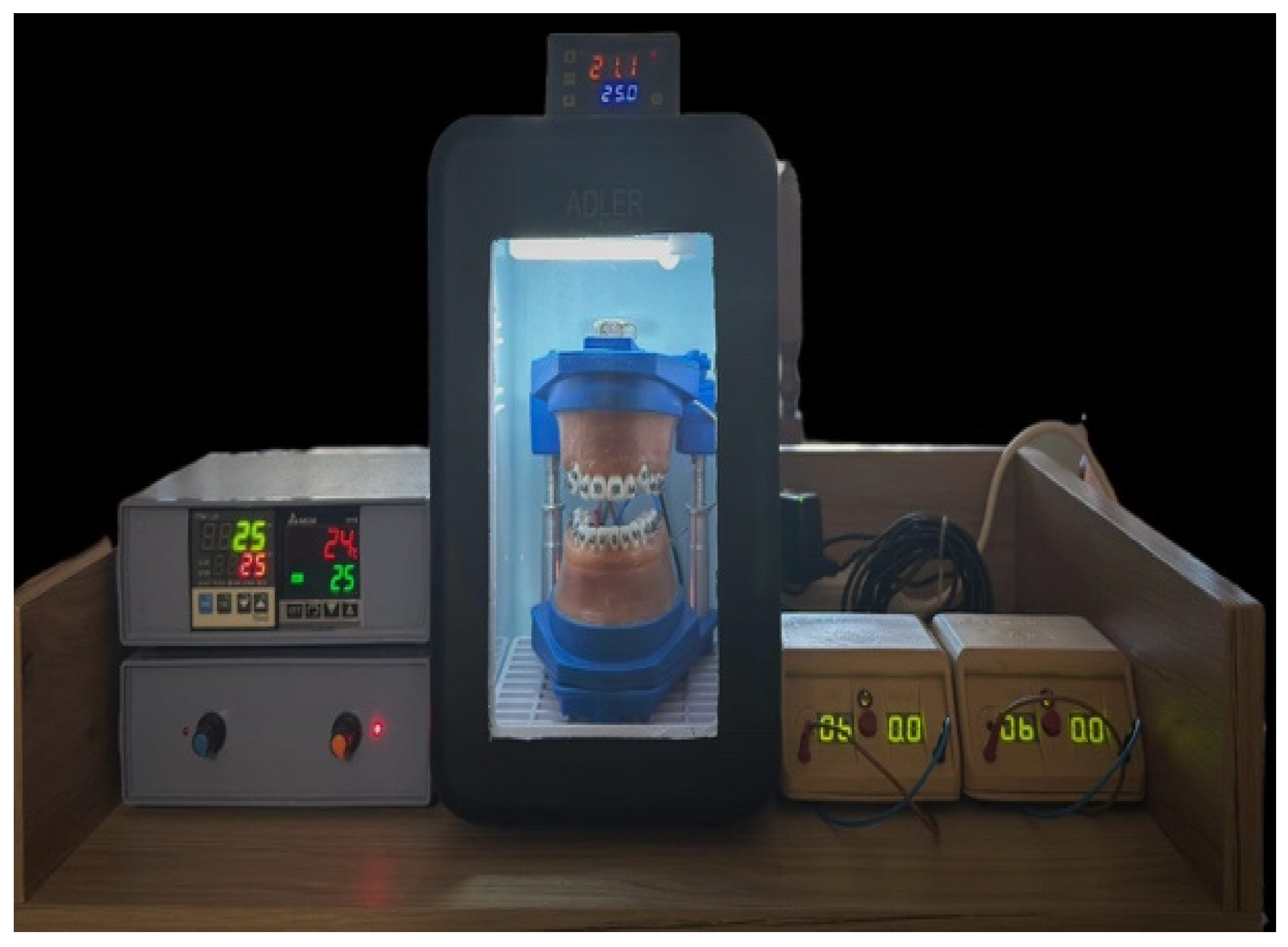 Bioengineering 13 00041 g001