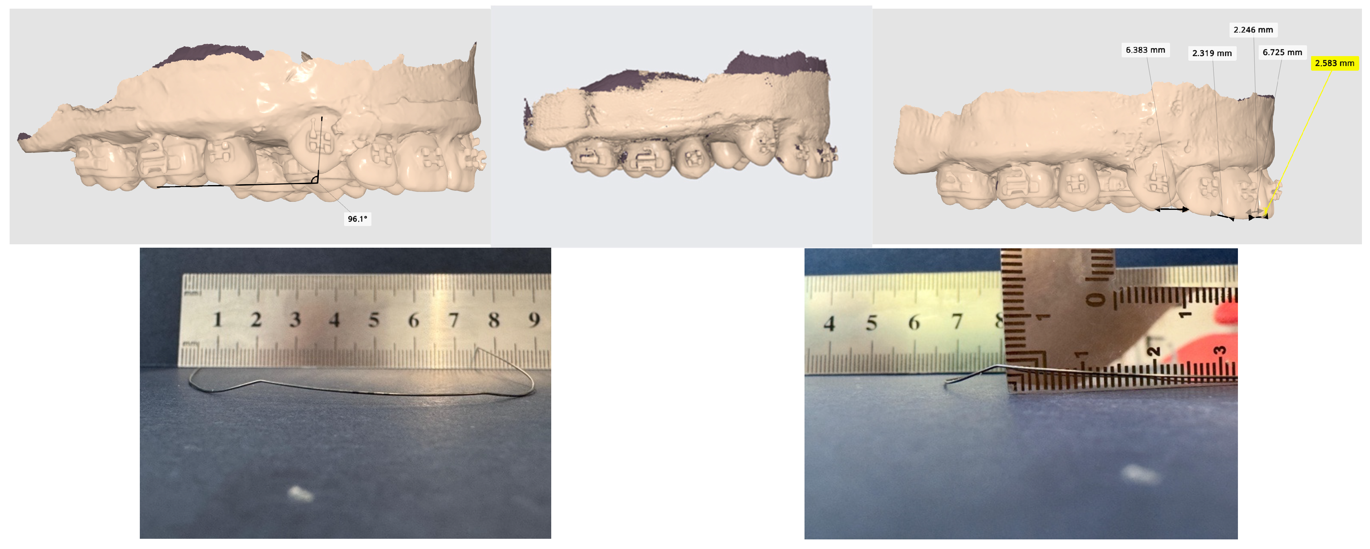 Bioengineering 13 00041 g003