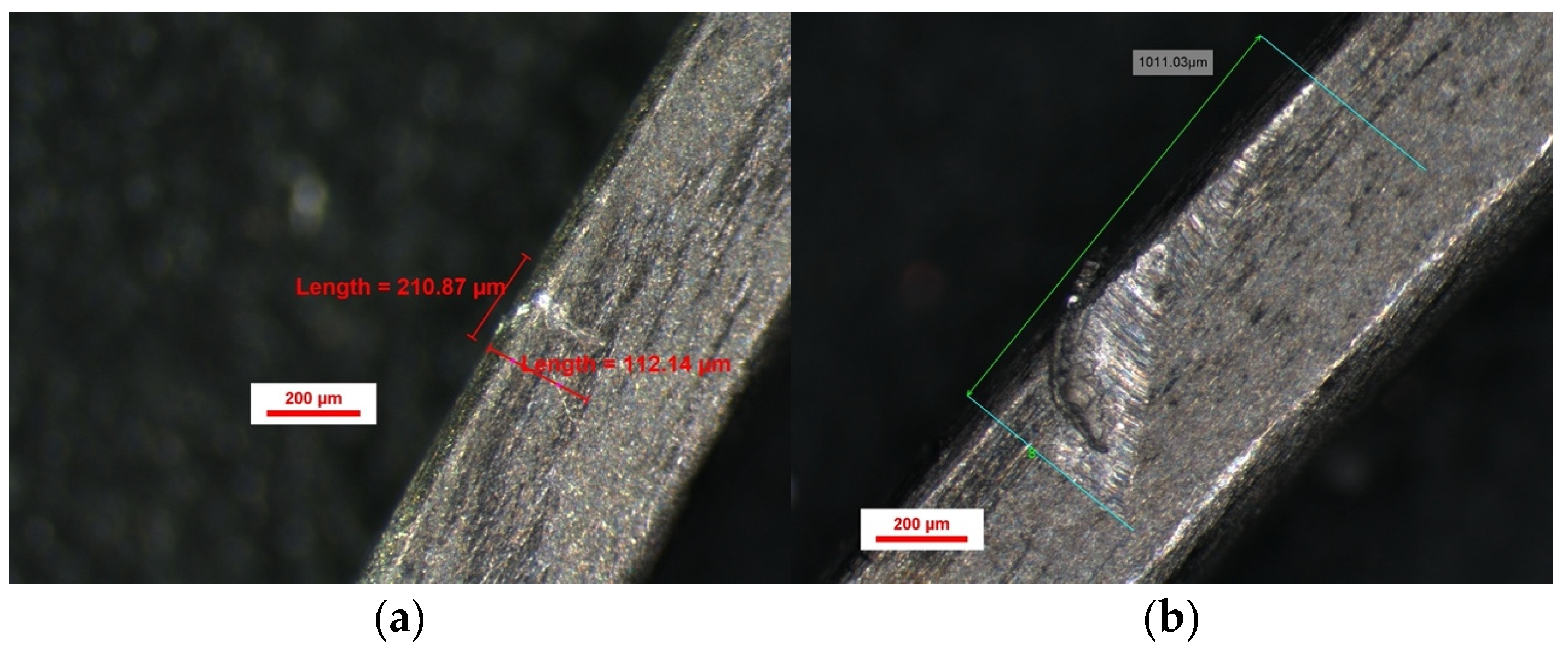 Bioengineering 13 00041 g005