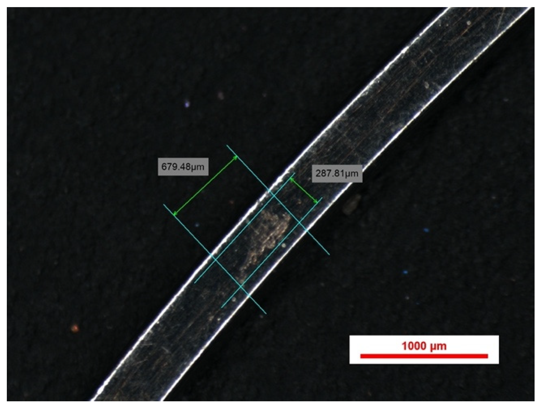 Bioengineering 13 00041 g006