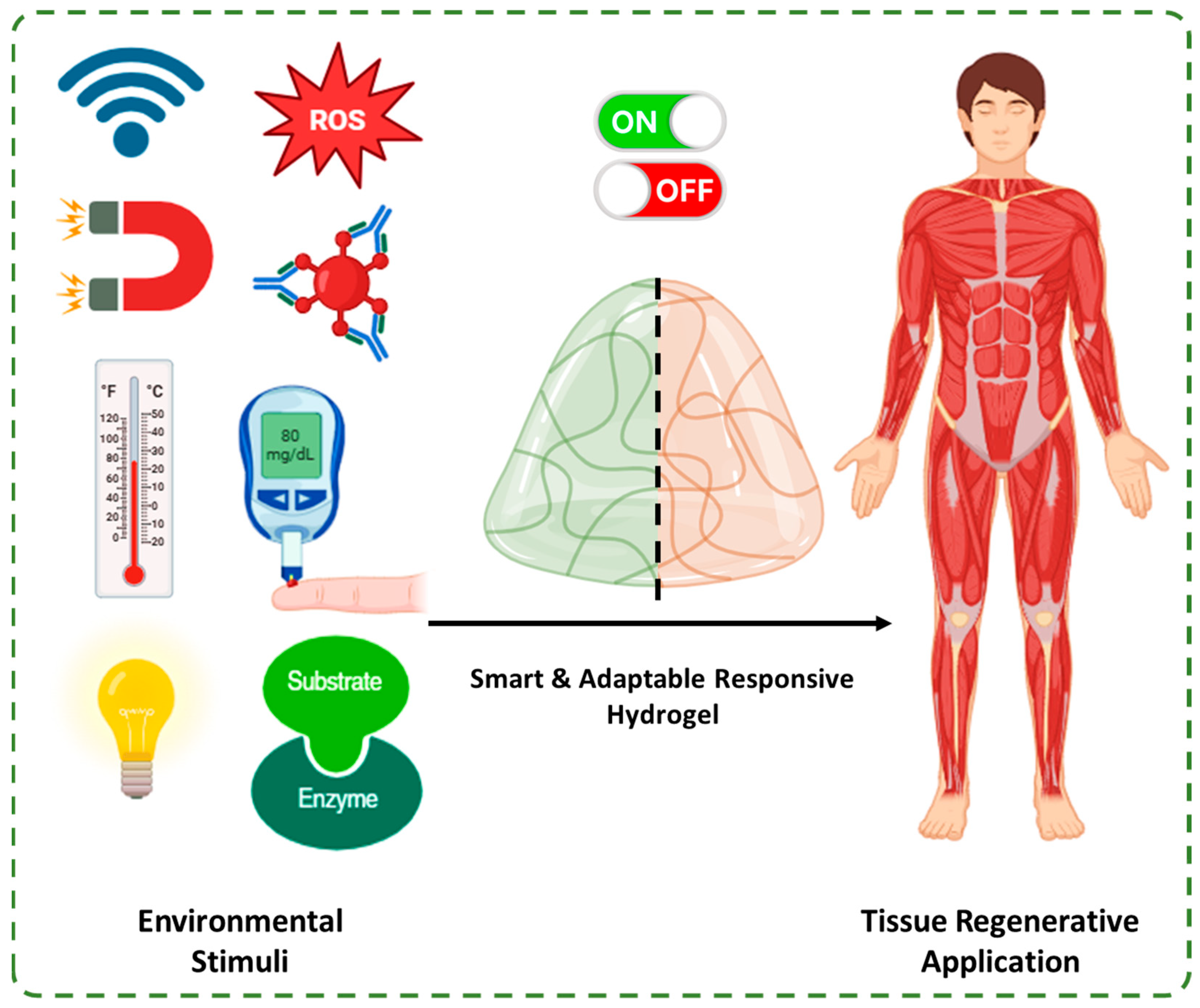 Bioengineering 13 00050 sch002 Bioengineering 13 00050 sch002