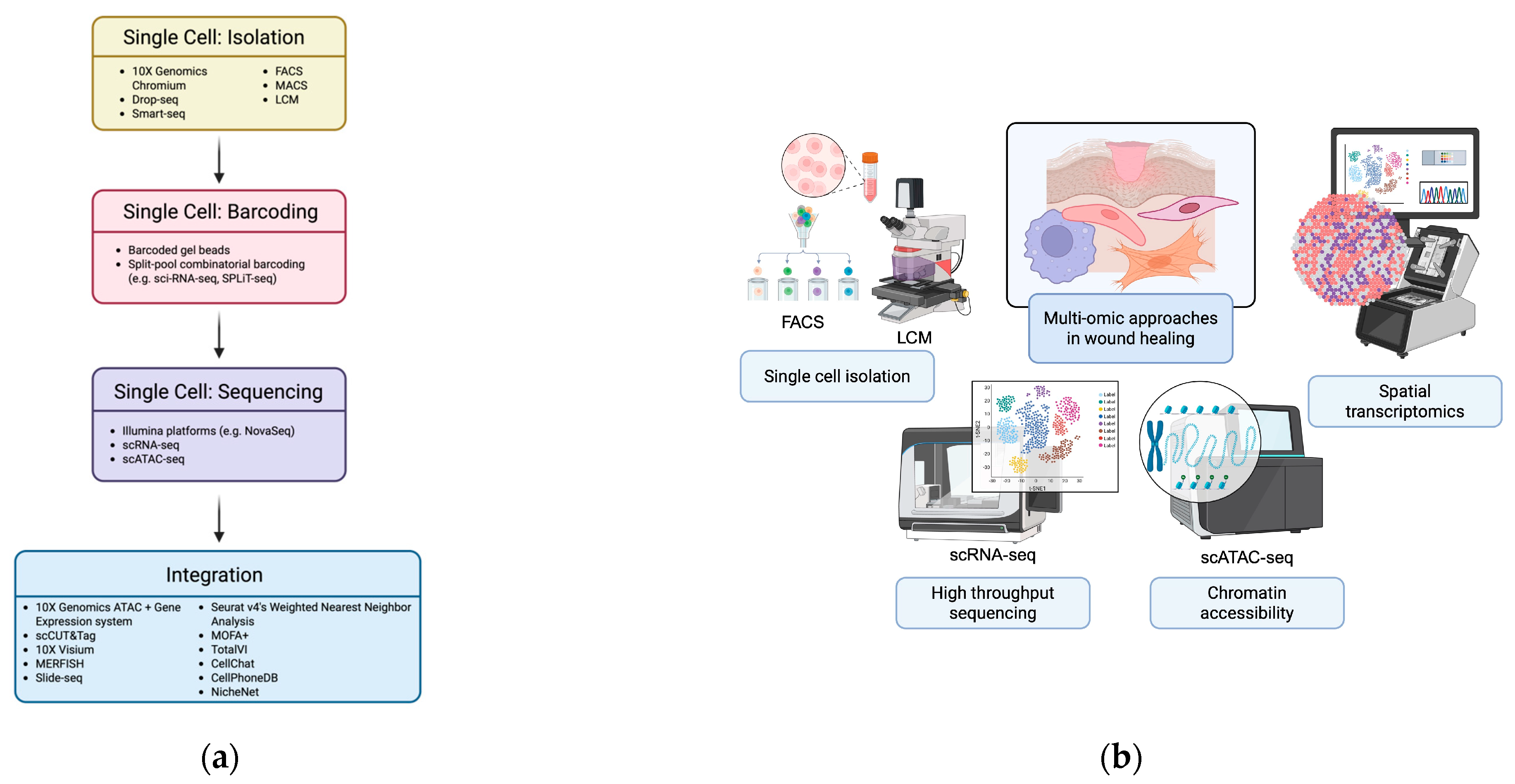 Bioengineering 13 00051 g002 Bioengineering 13 00051 g002