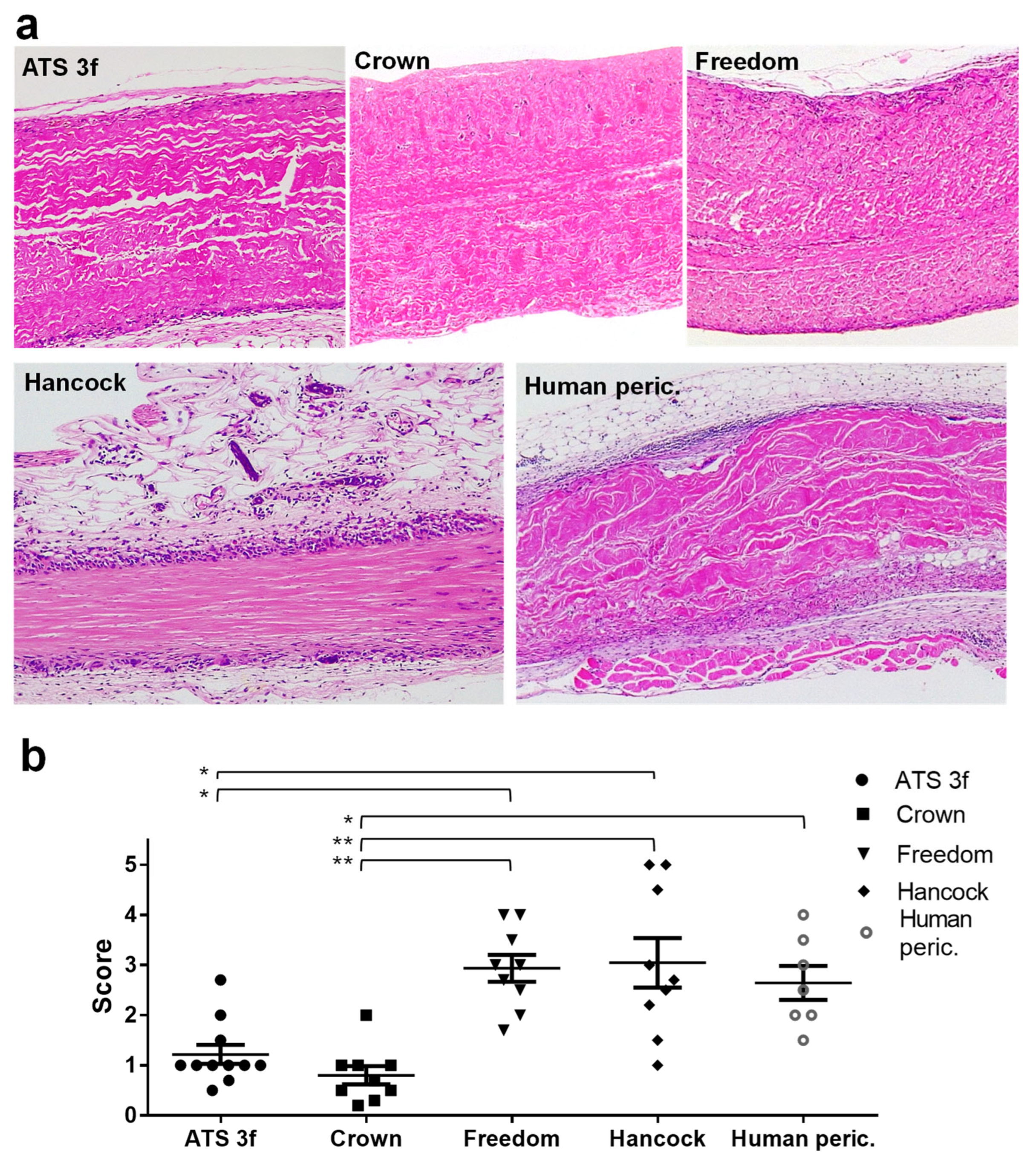 Bioengineering 13 00053 g002