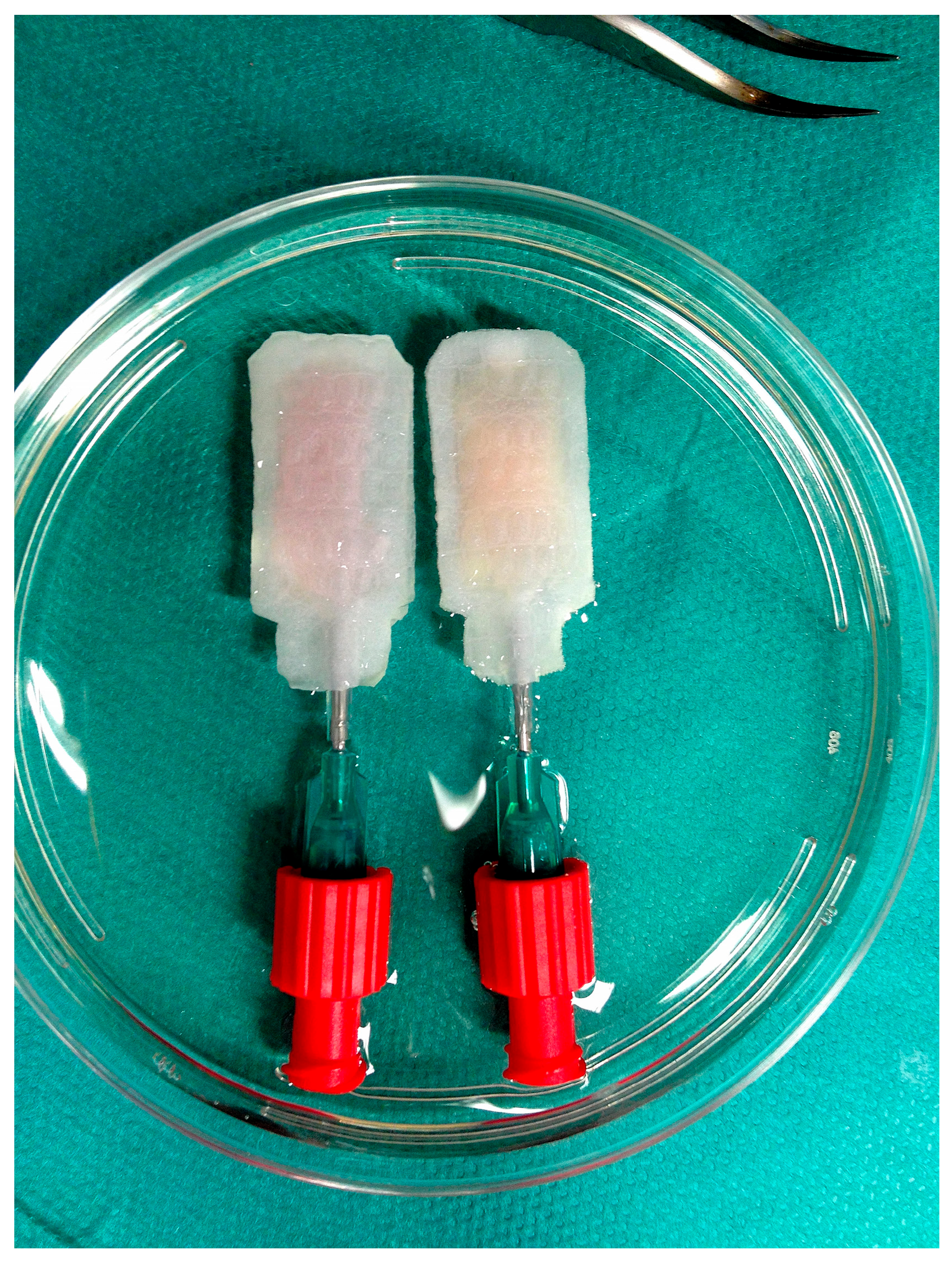 Bioengineering 13 00056 g001 Bioengineering 13 00056 g001