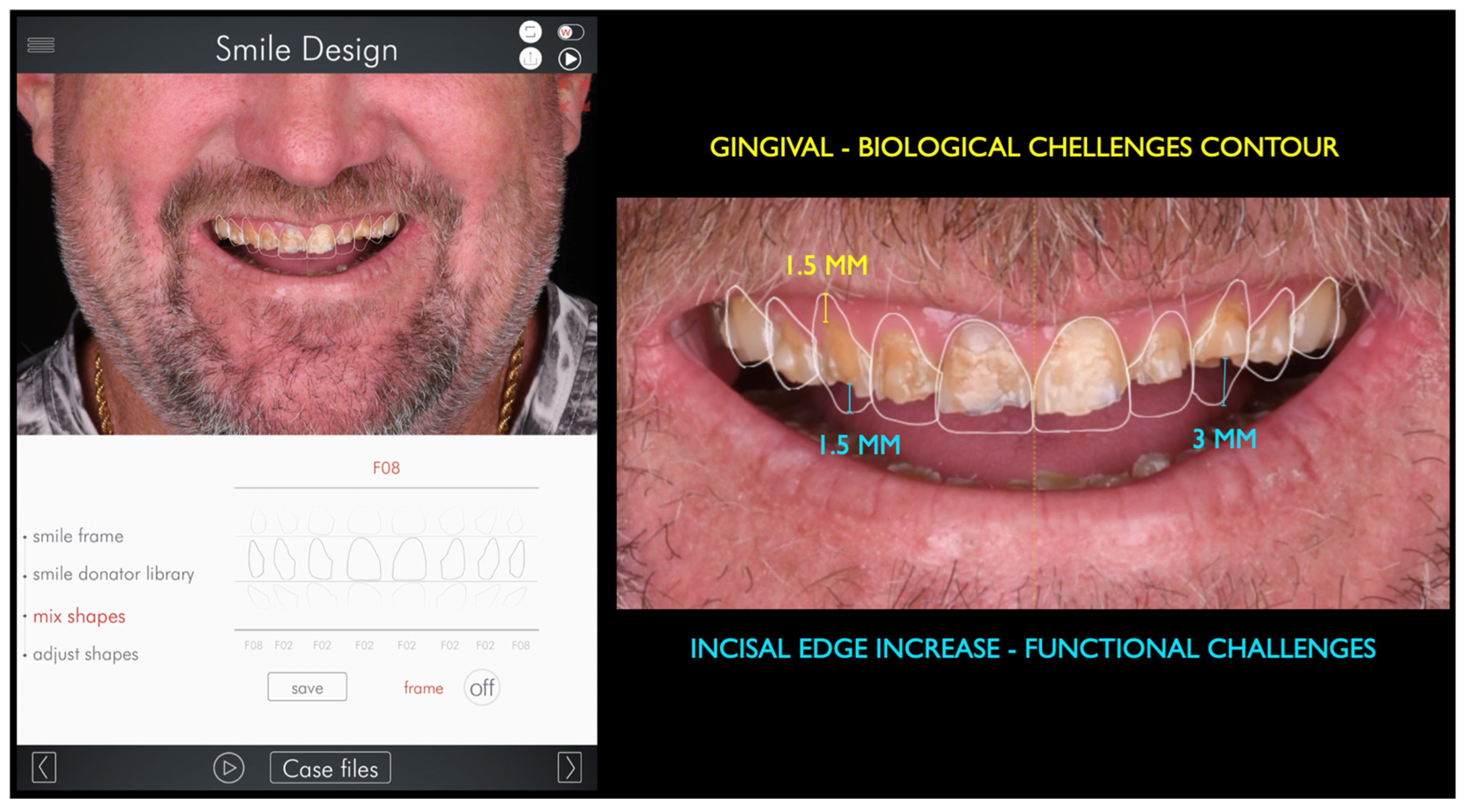 Bioengineering 13 00077 g003 Bioengineering 13 00077 g003
