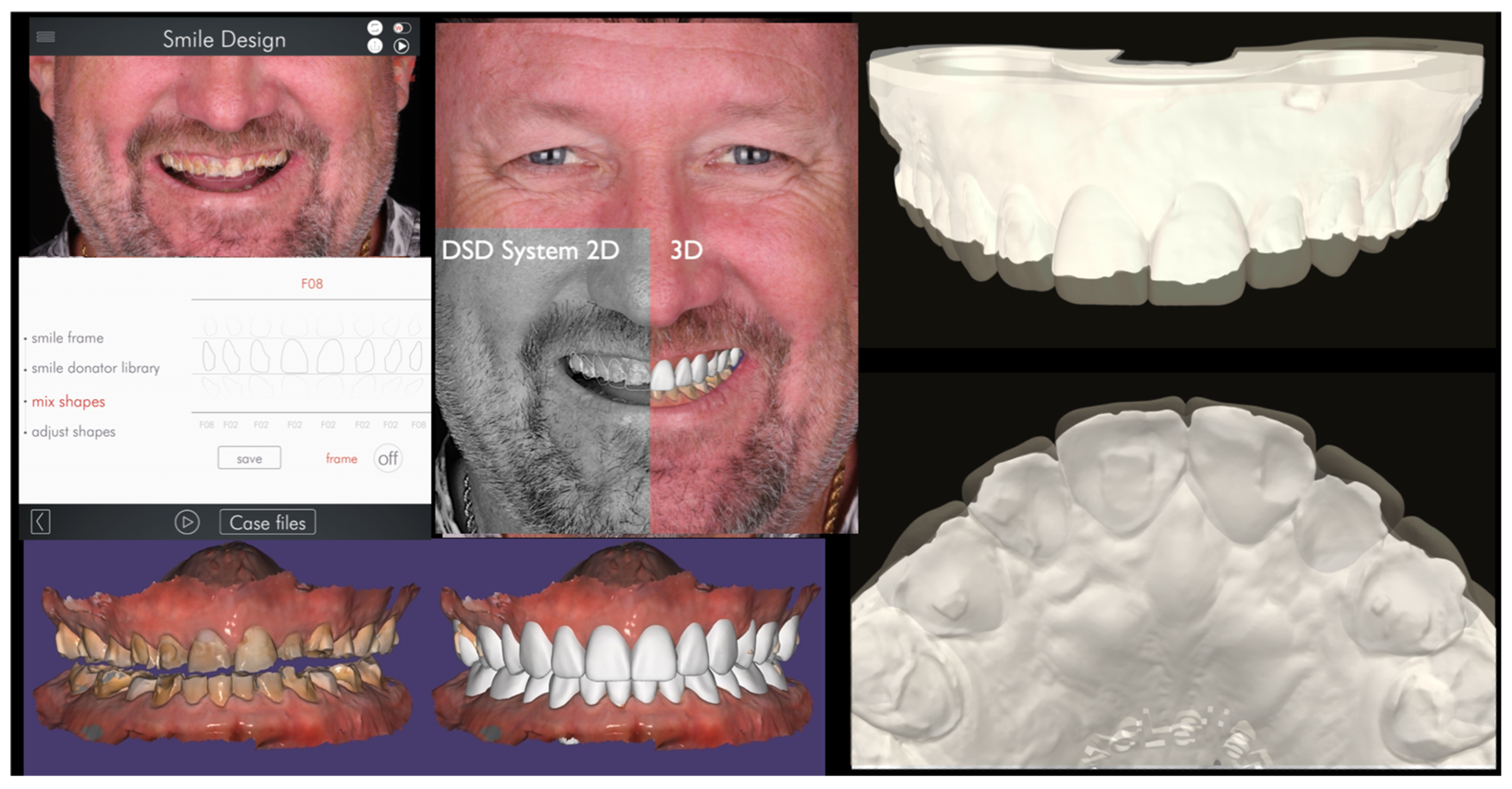 Bioengineering 13 00077 g004 Bioengineering 13 00077 g004