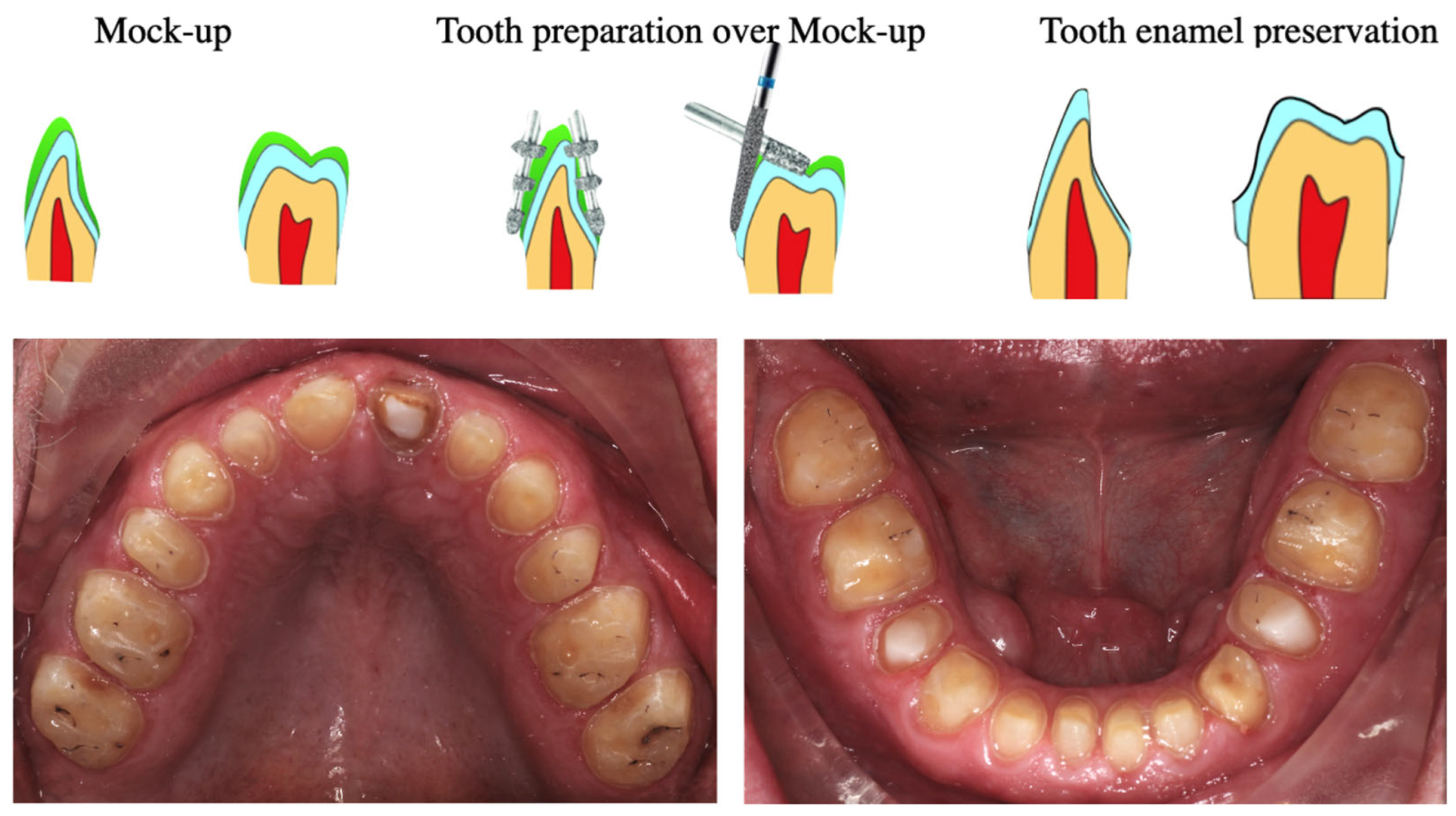 Bioengineering 13 00077 g006 Bioengineering 13 00077 g006