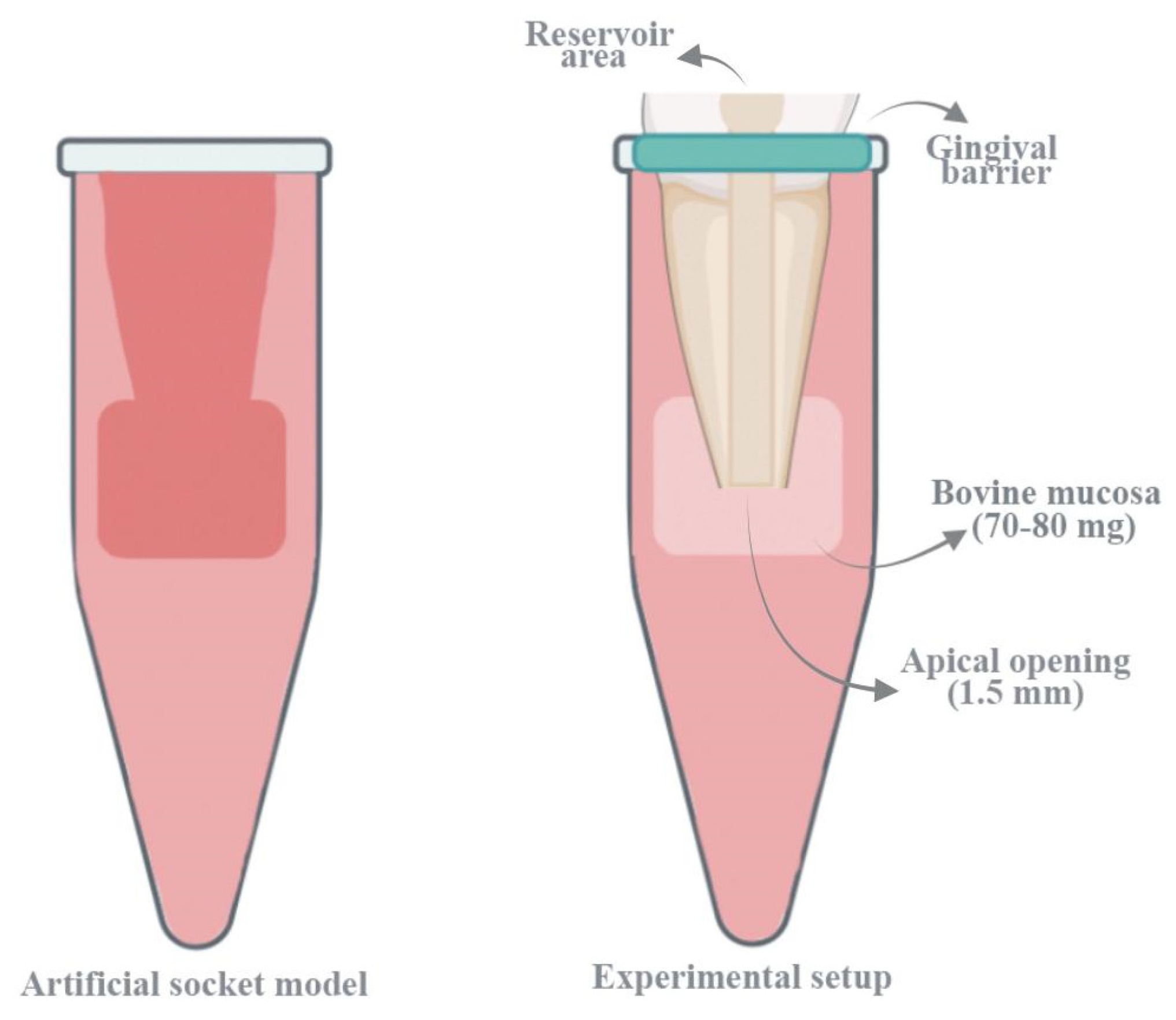 Bioengineering 13 00089 g001