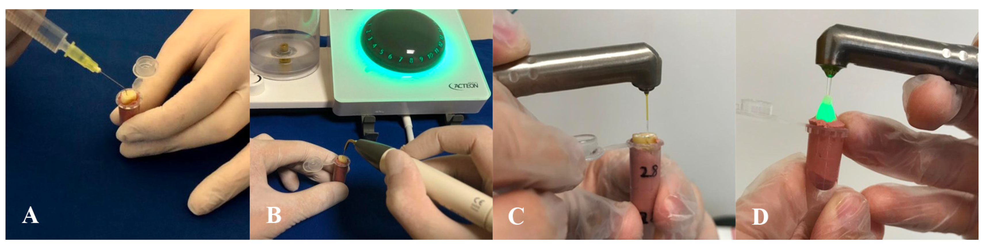 Bioengineering 13 00089 g002