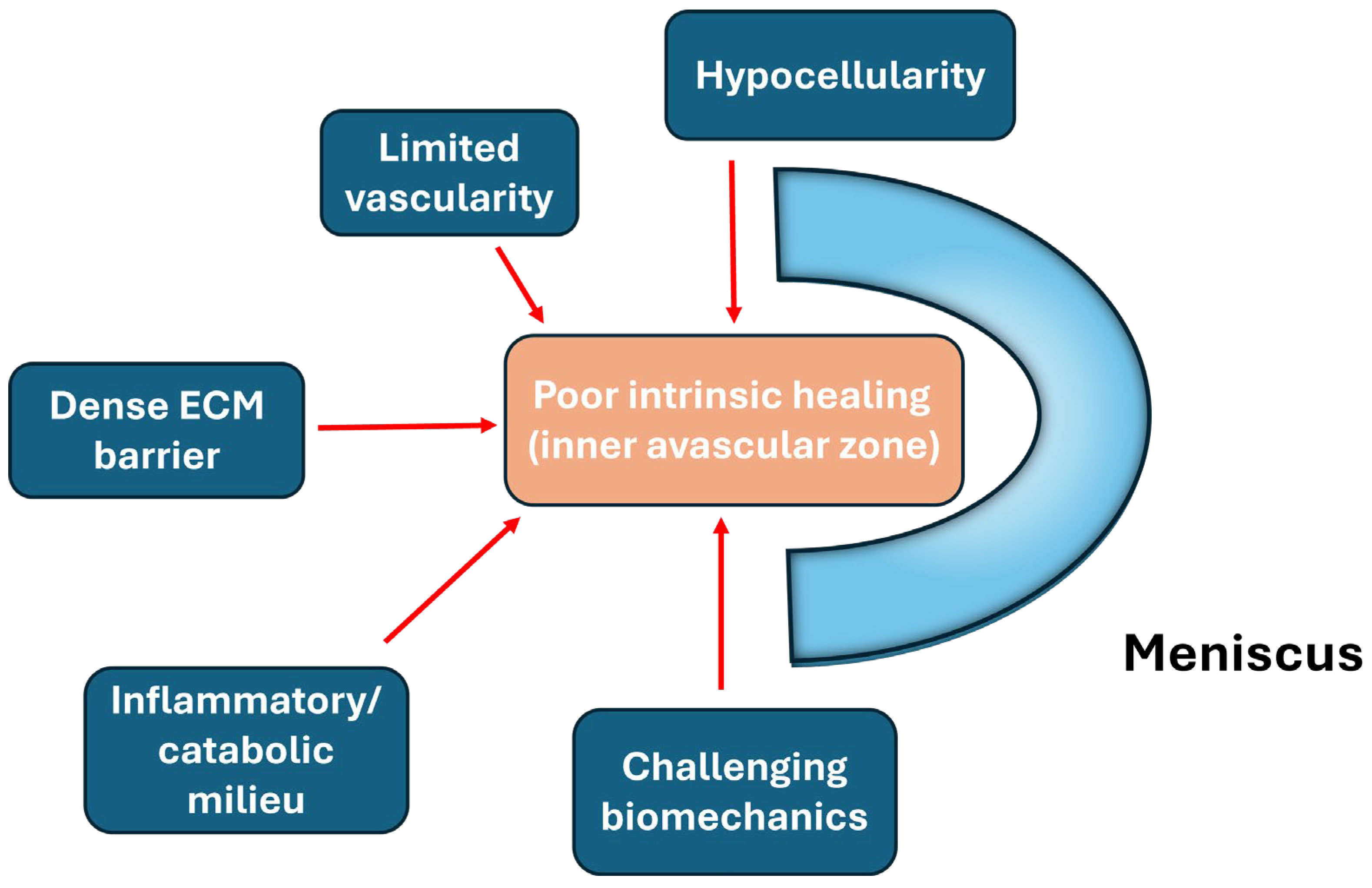 Bioengineering 13 00101 g002