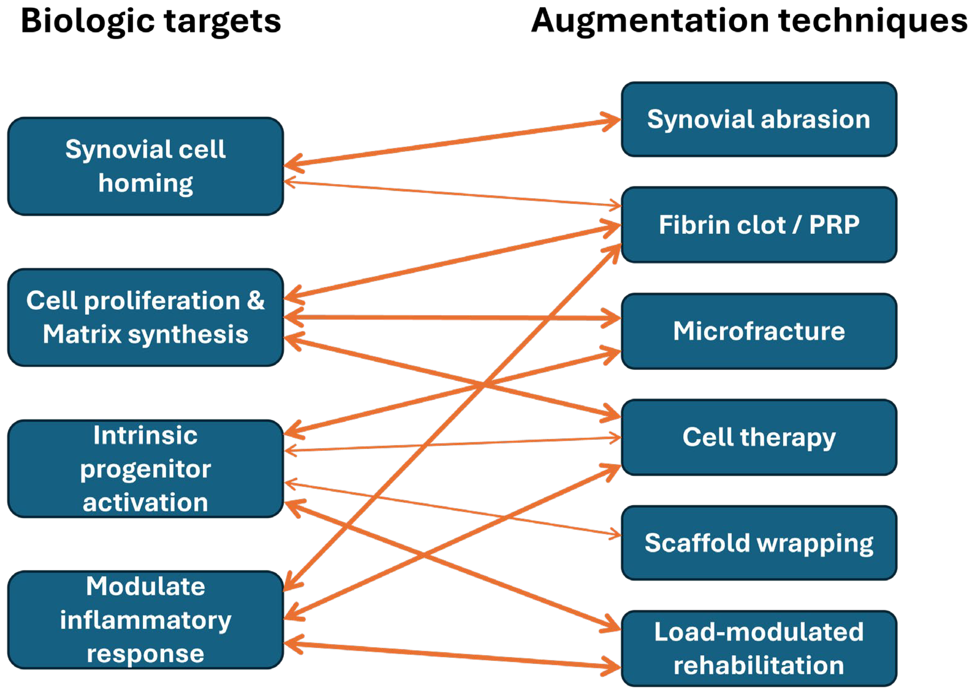 Bioengineering 13 00101 g005