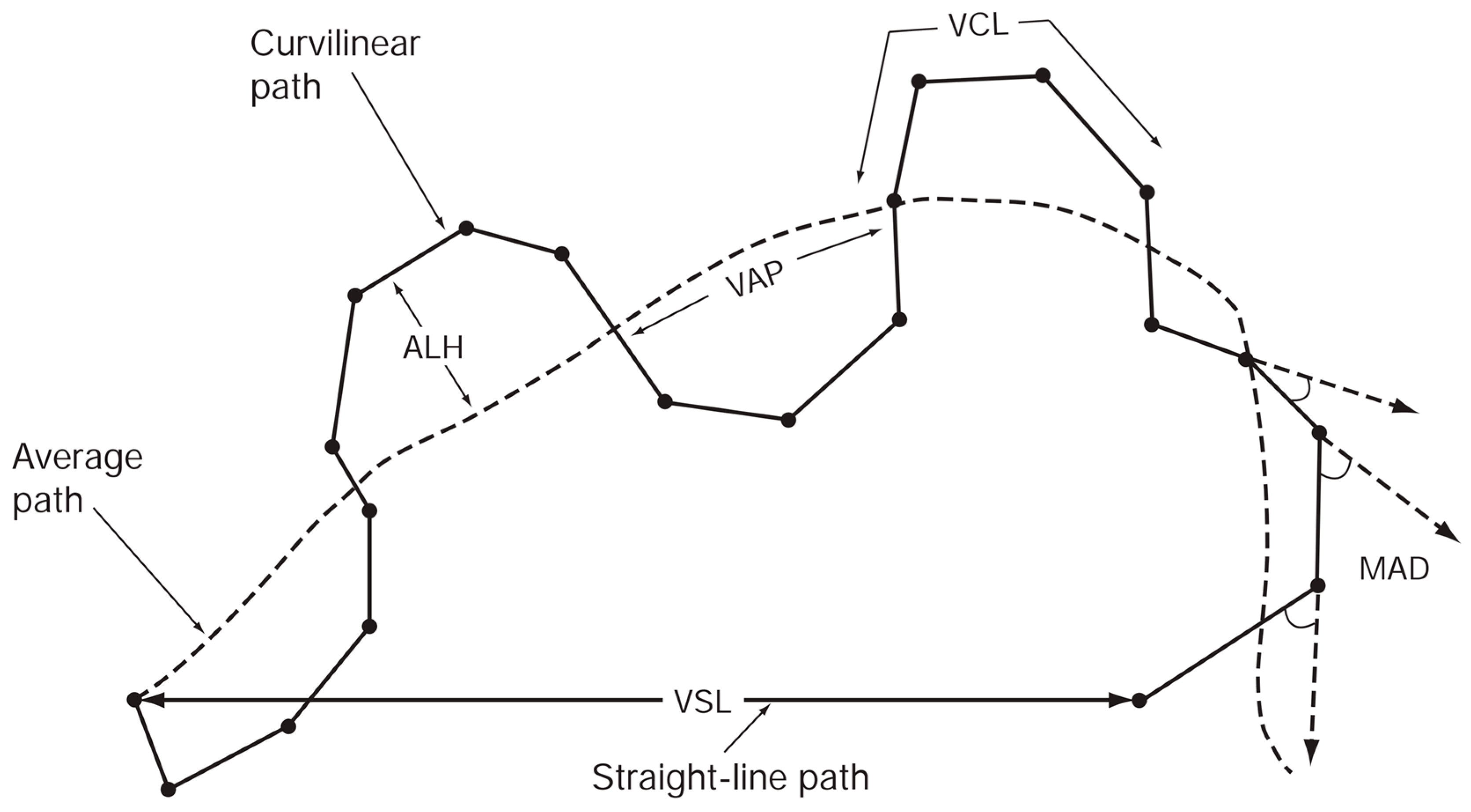 Bioengineering 13 00102 g004