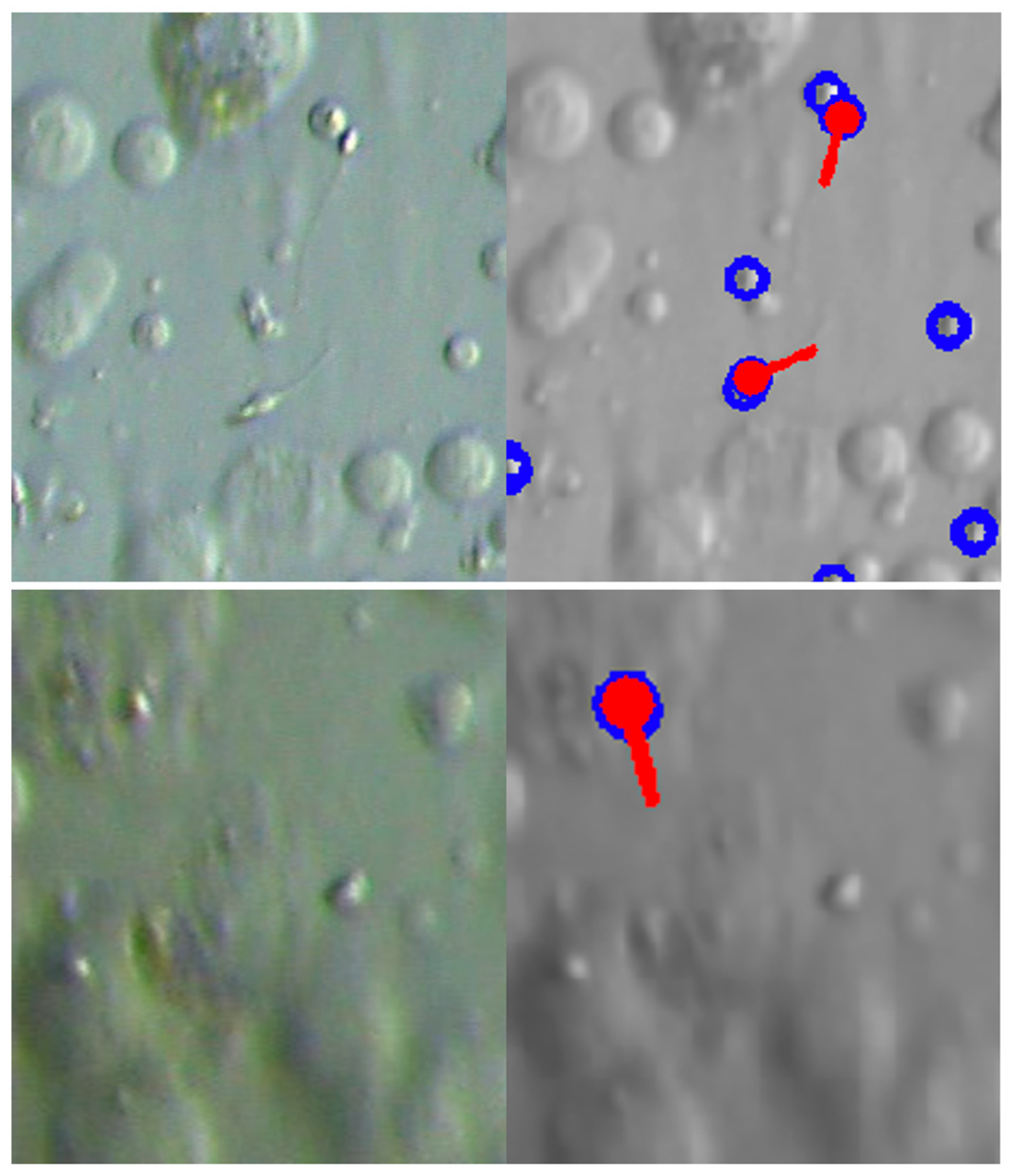 Bioengineering 13 00102 g005