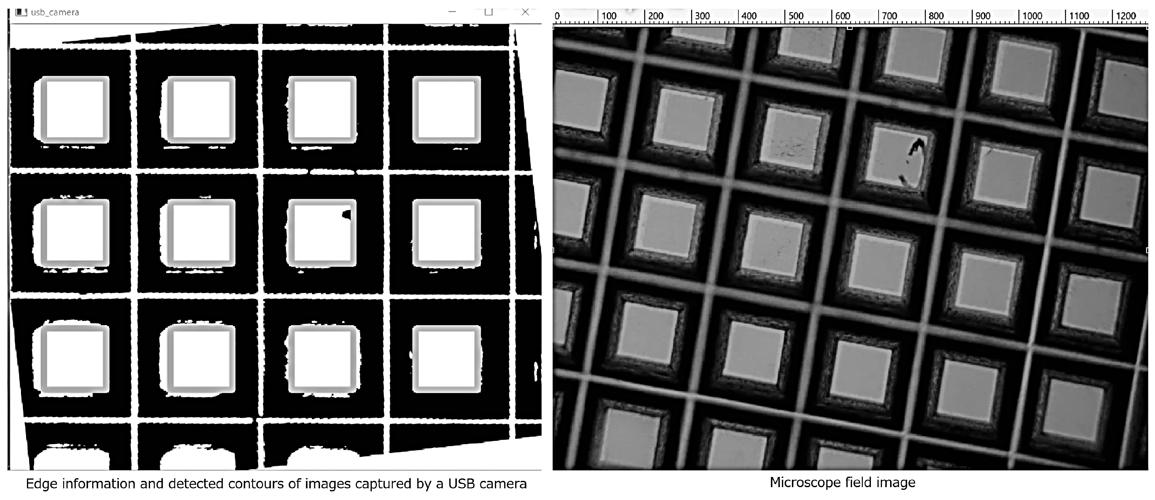 Bioengineering 13 00102 g006