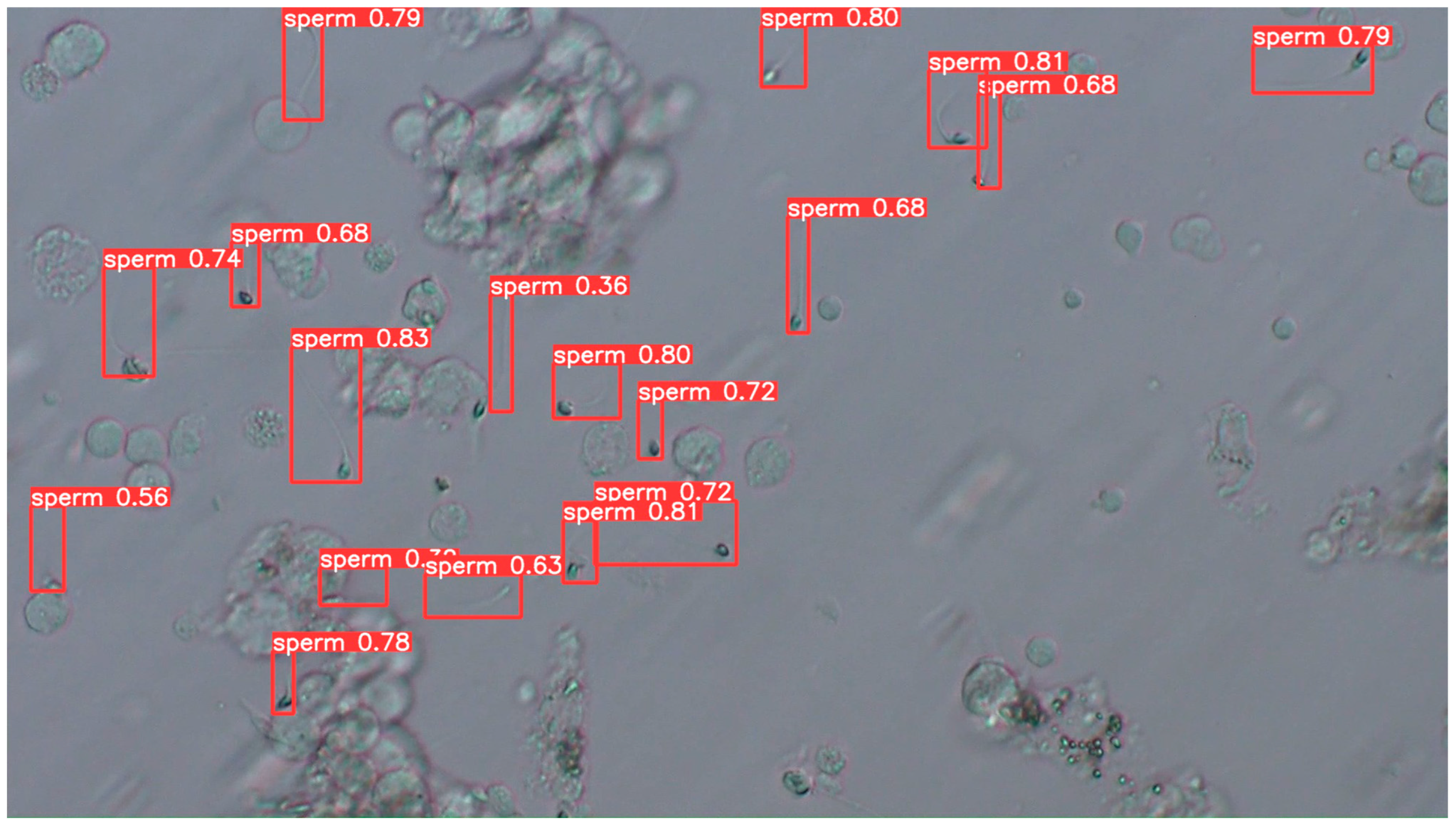 Bioengineering 13 00102 g009