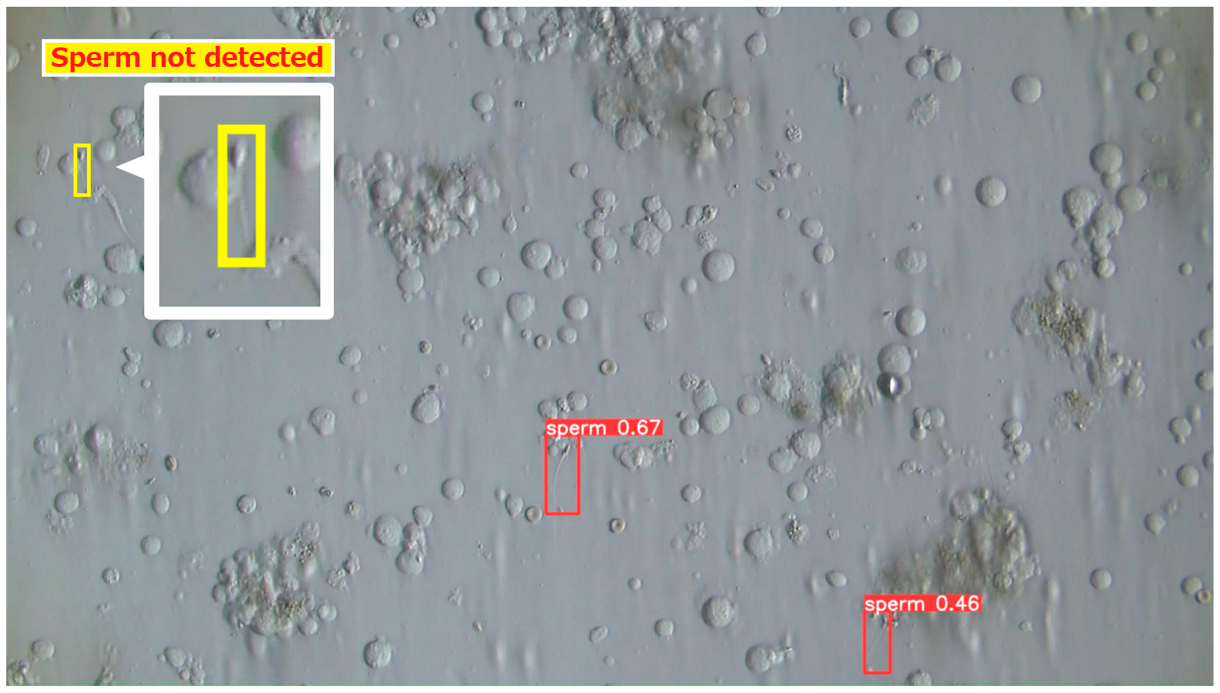 Bioengineering 13 00102 g010