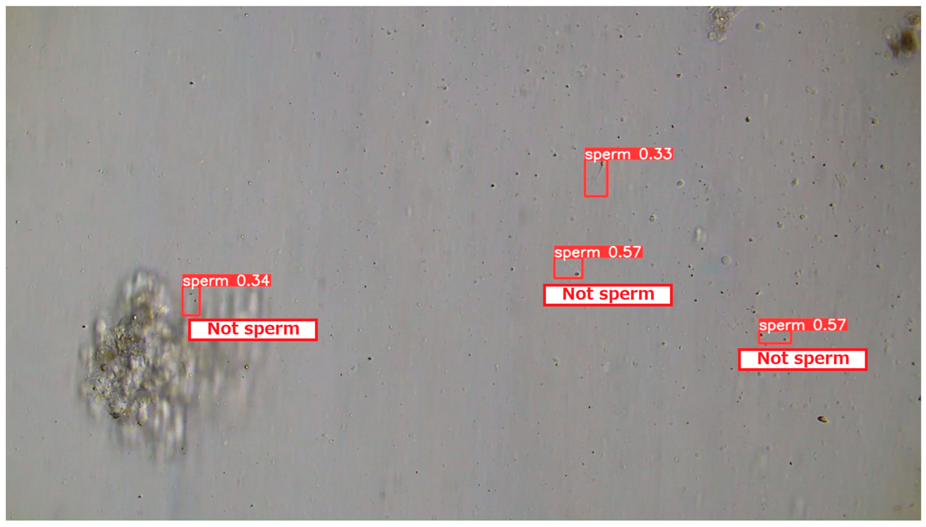 Bioengineering 13 00102 g011