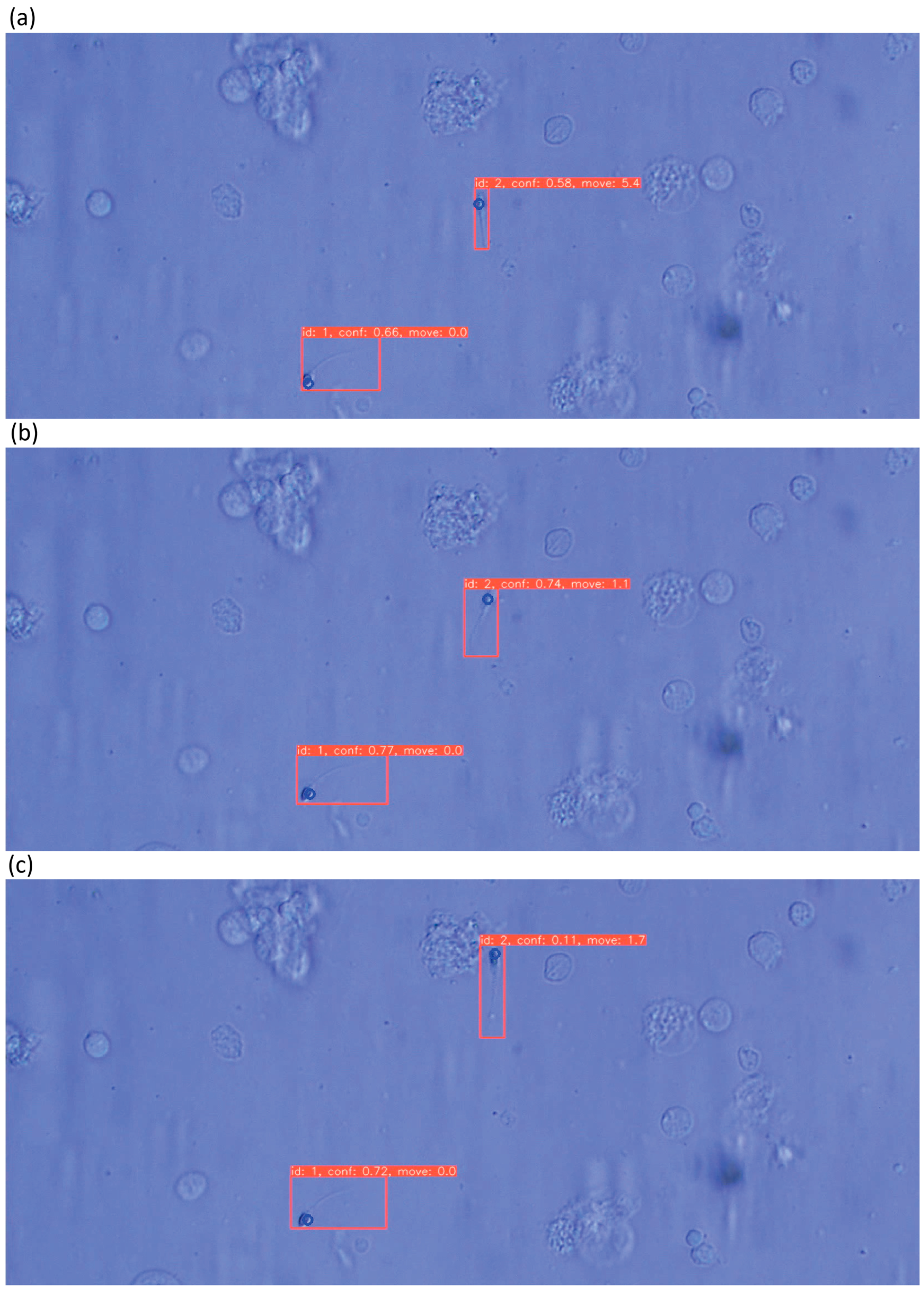 Bioengineering 13 00102 g012