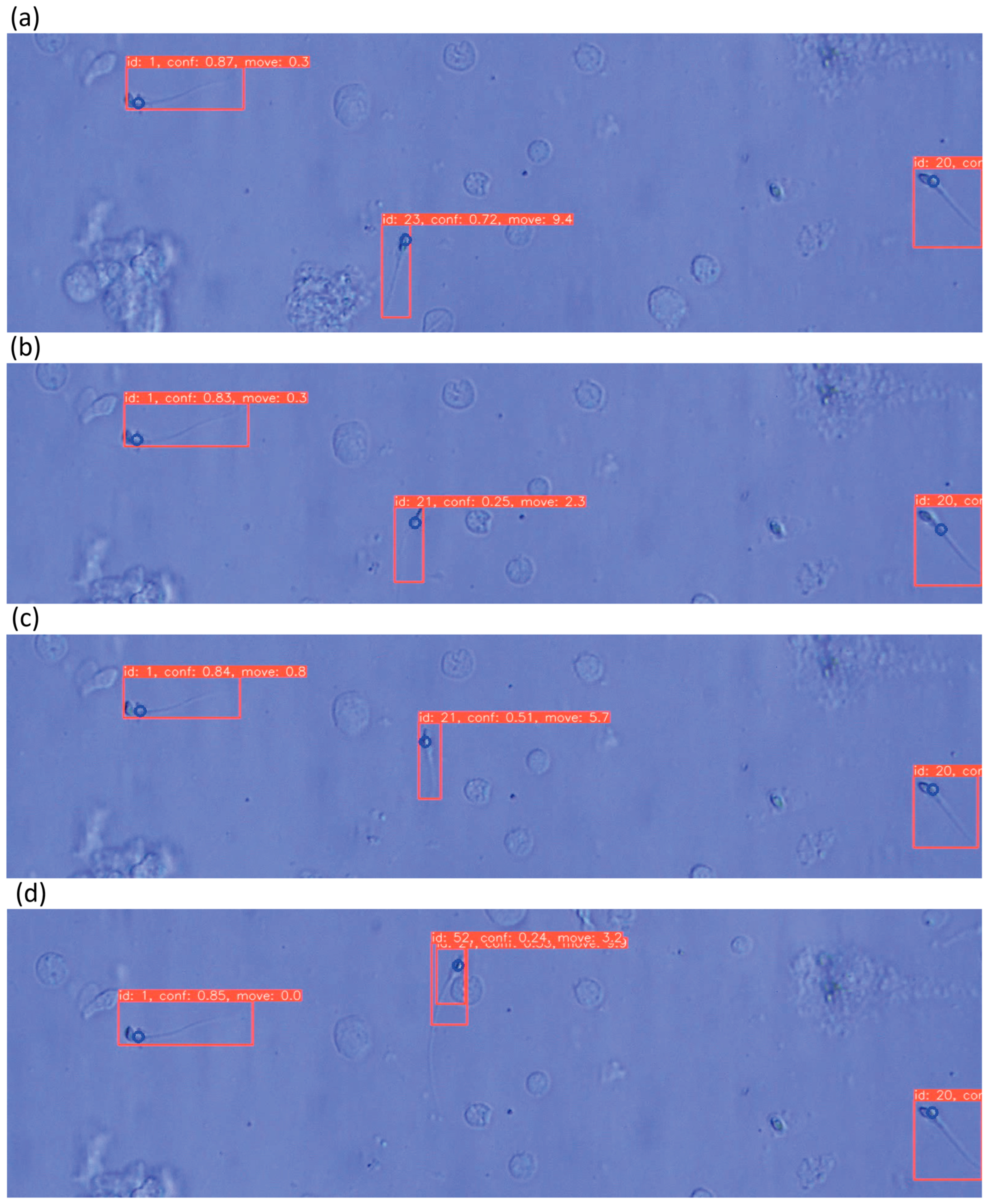 Bioengineering 13 00102 g013
