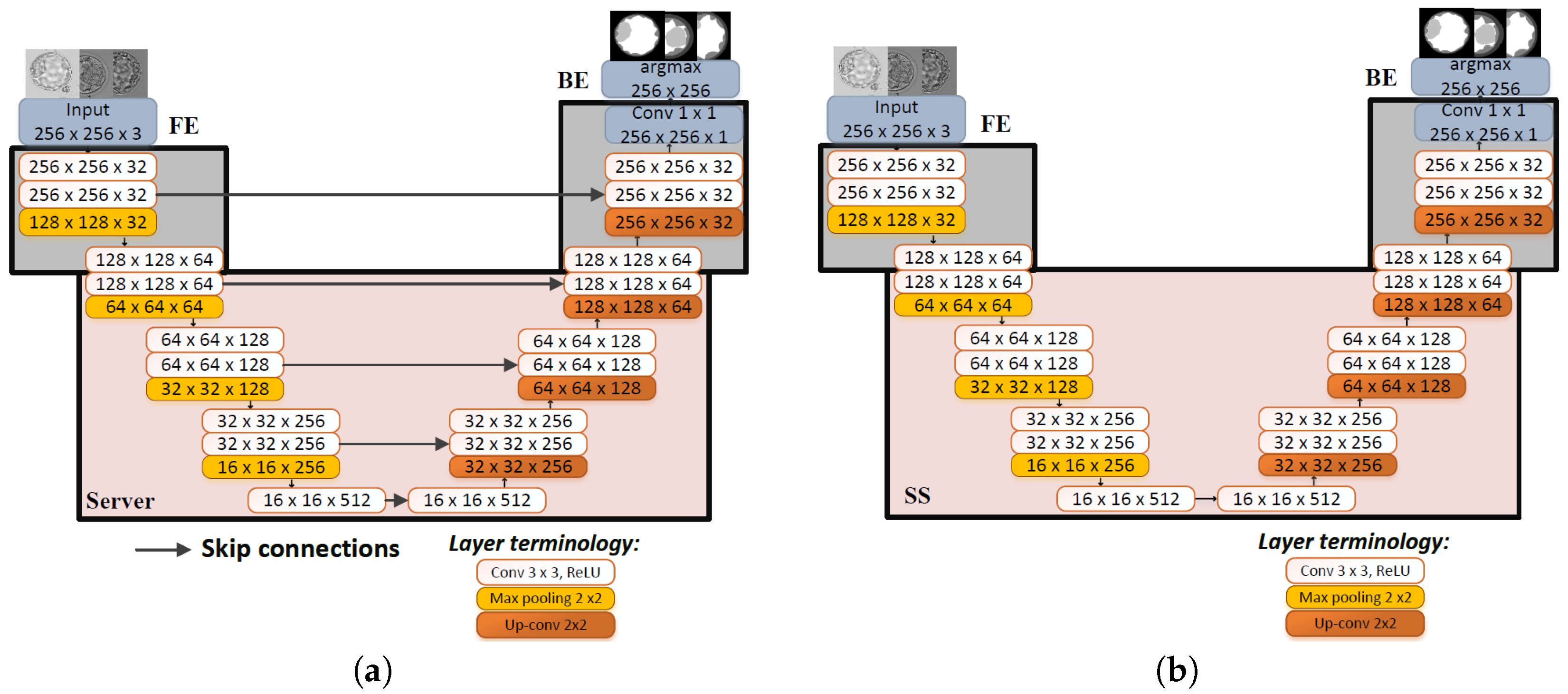 Bioengineering 13 00104 g003