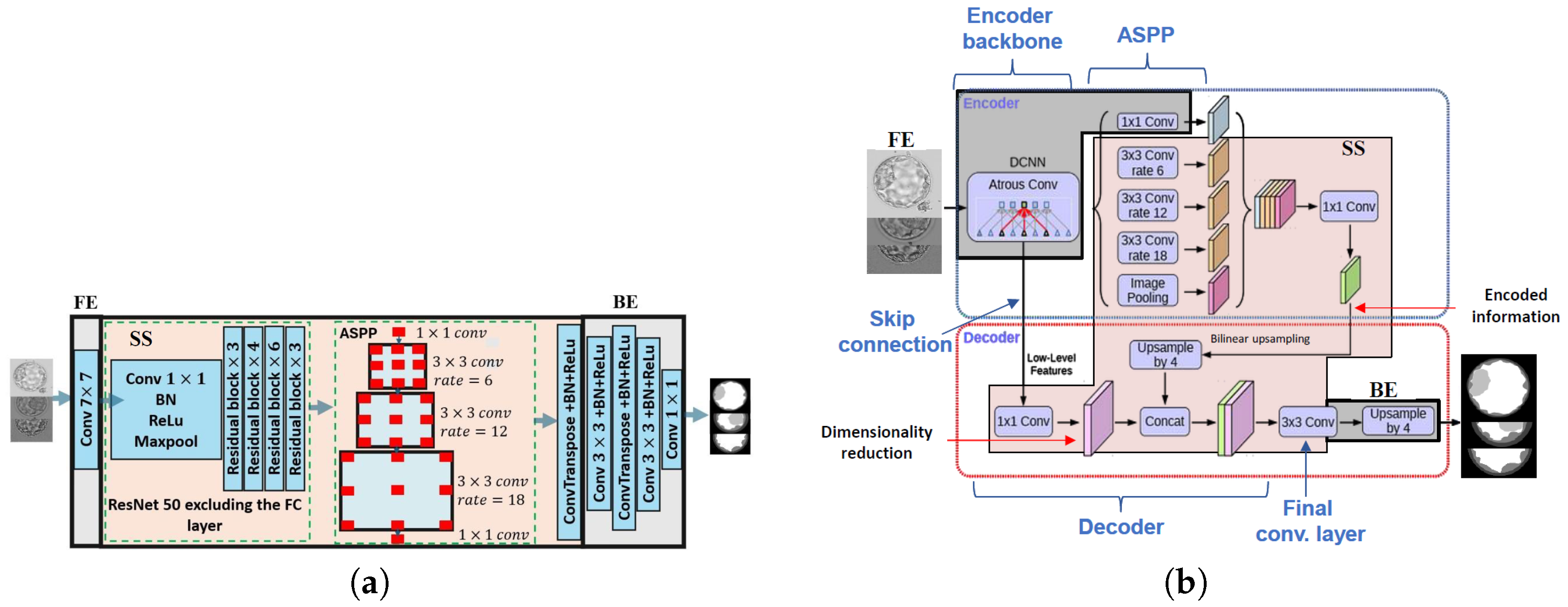 Bioengineering 13 00104 g004