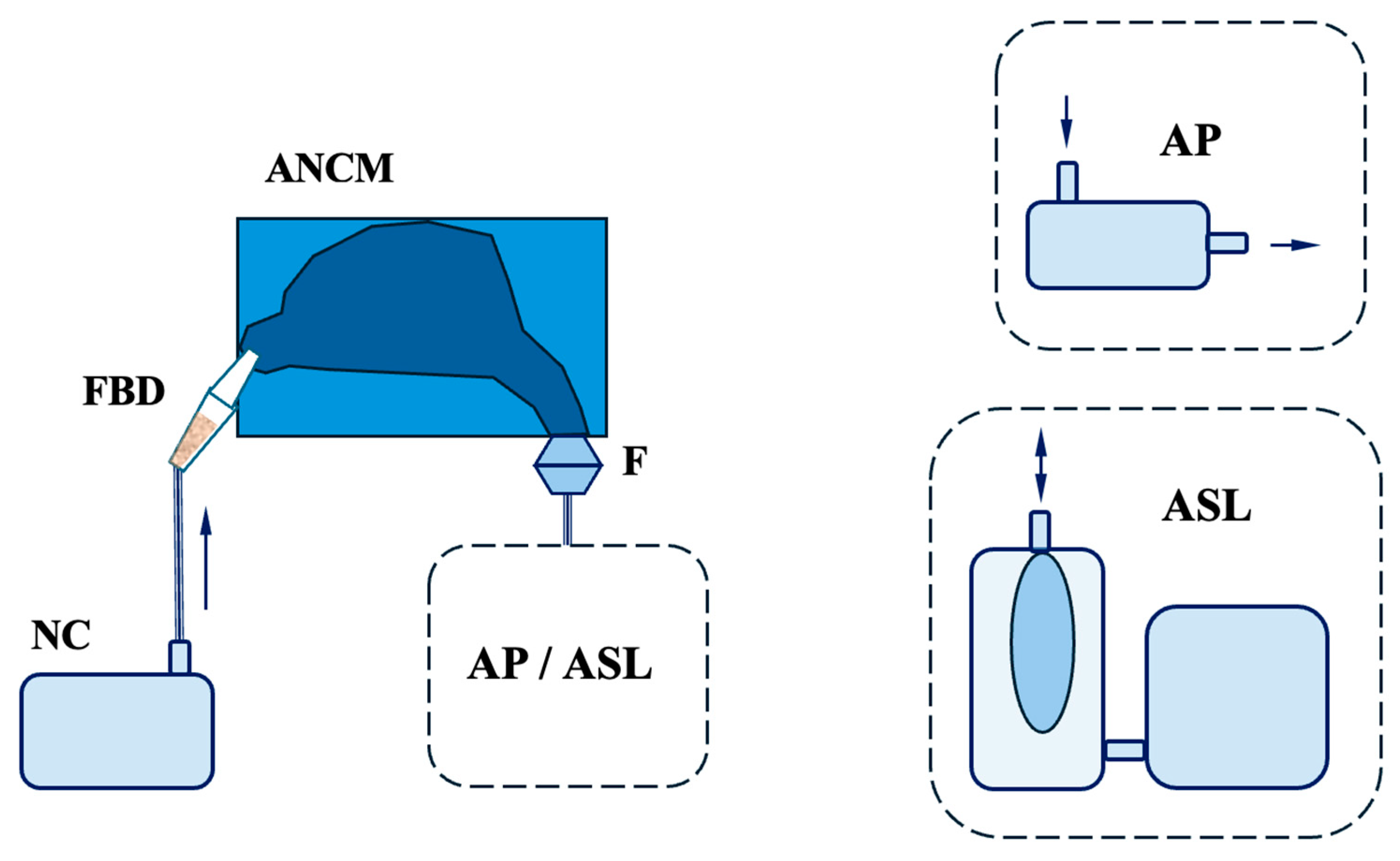 Bioengineering 13 00132 g003