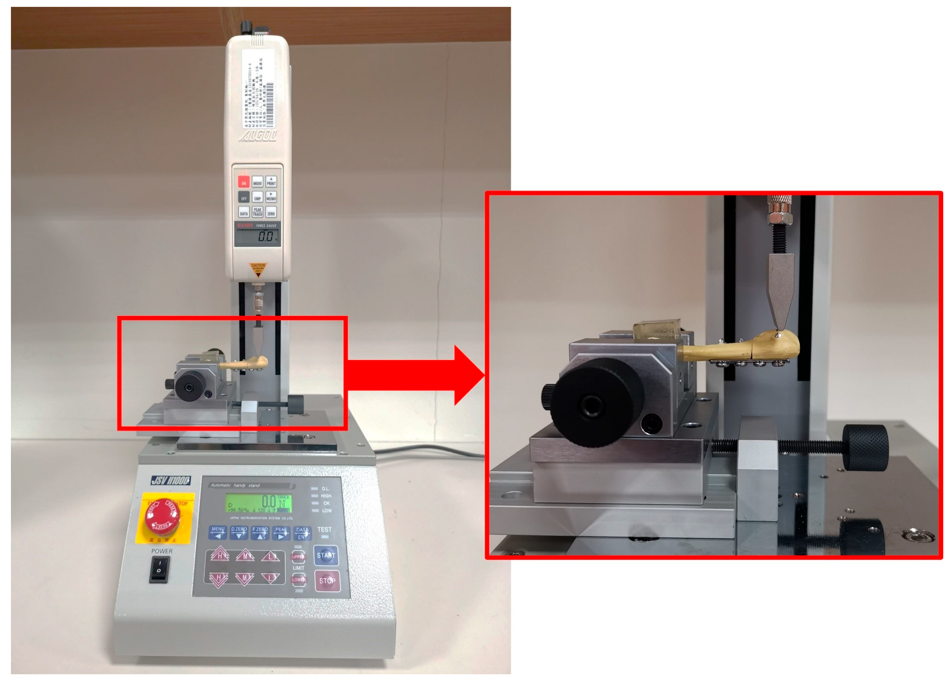 Bioengineering 13 00135 g003