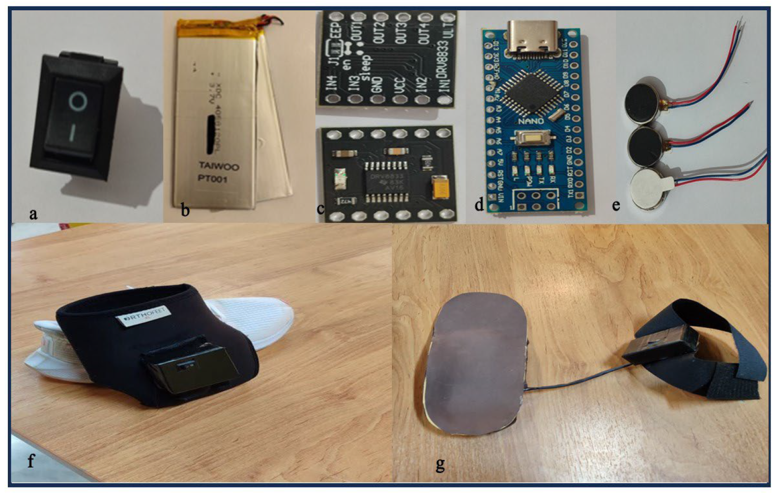 Bioengineering 13 00138 g002